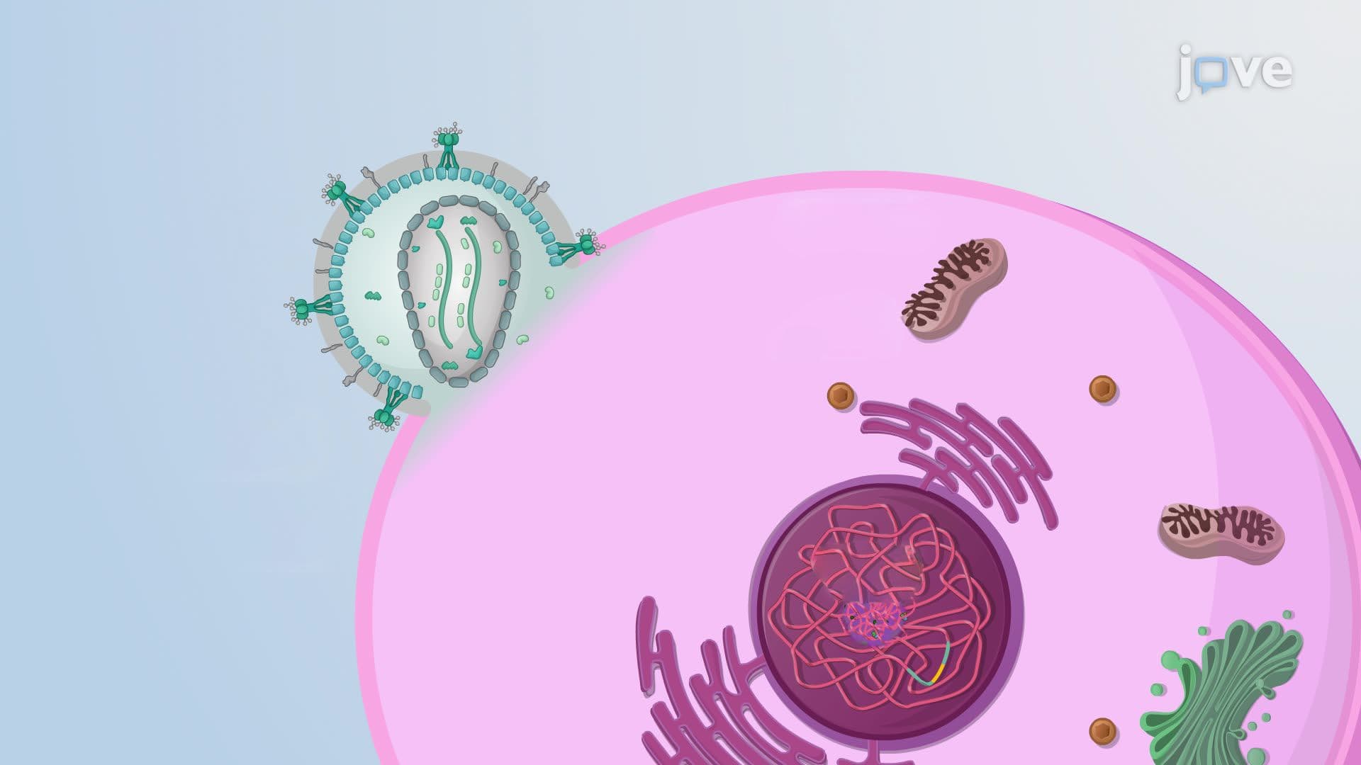 Gene Therapy