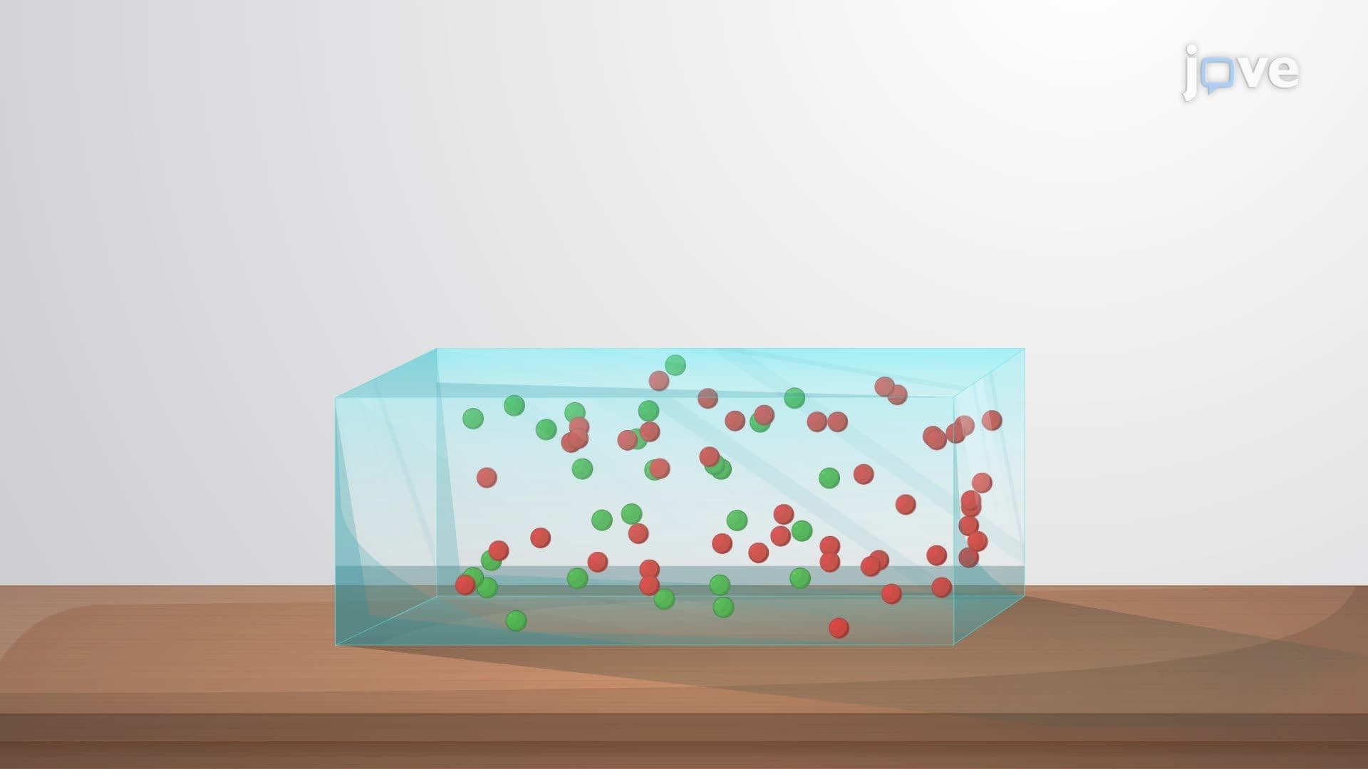 Entropy Changes Accompanying Specific Processes