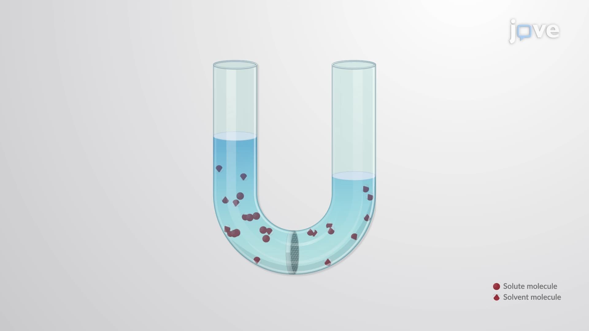Osmotic Pressure