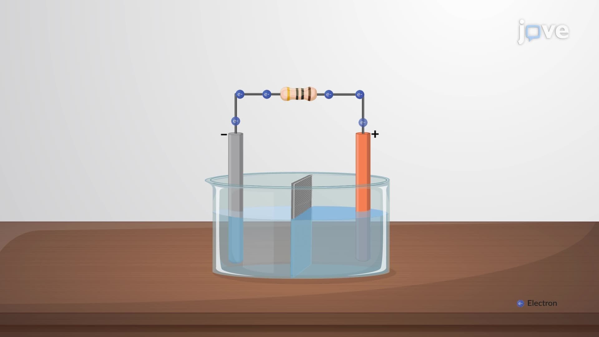 Electrochemical Cells