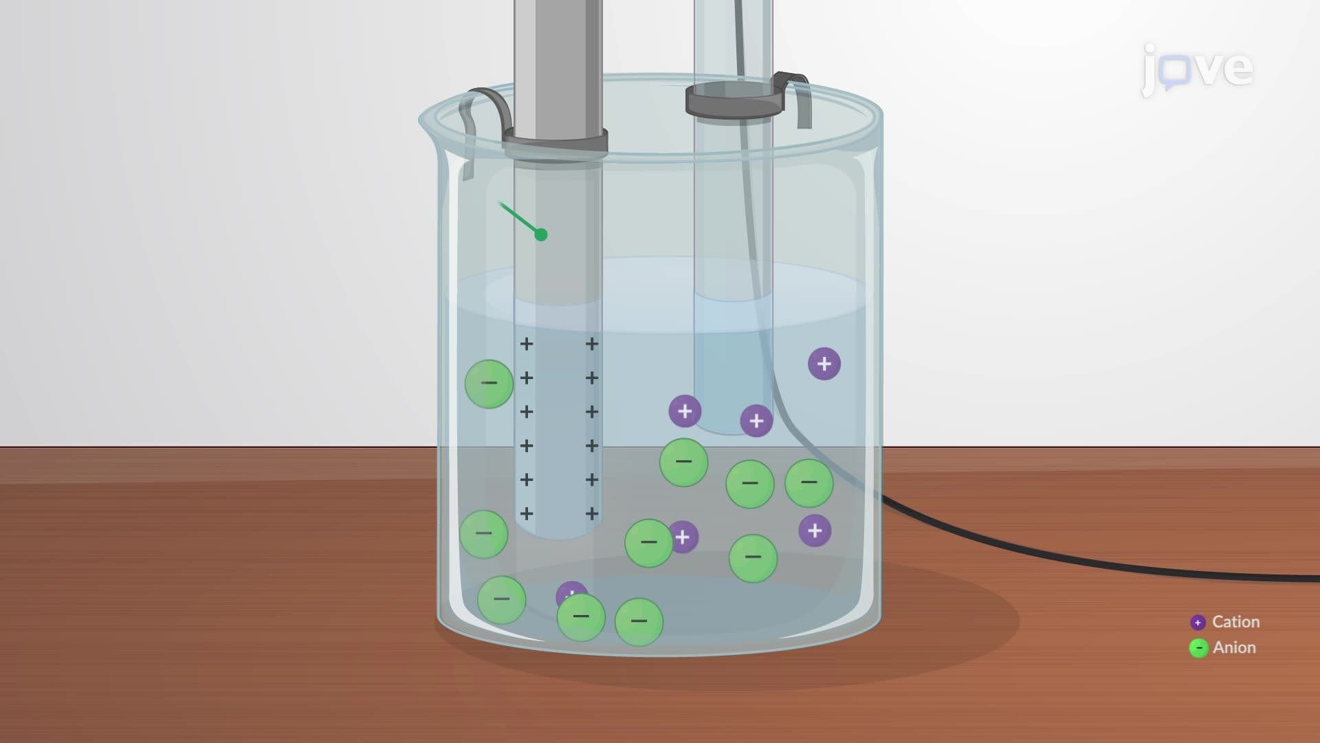The Electrical Double Layer