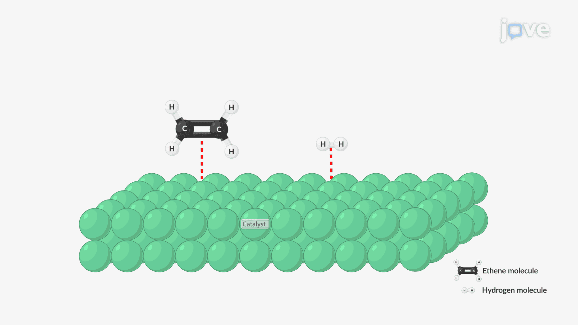 Catalysis