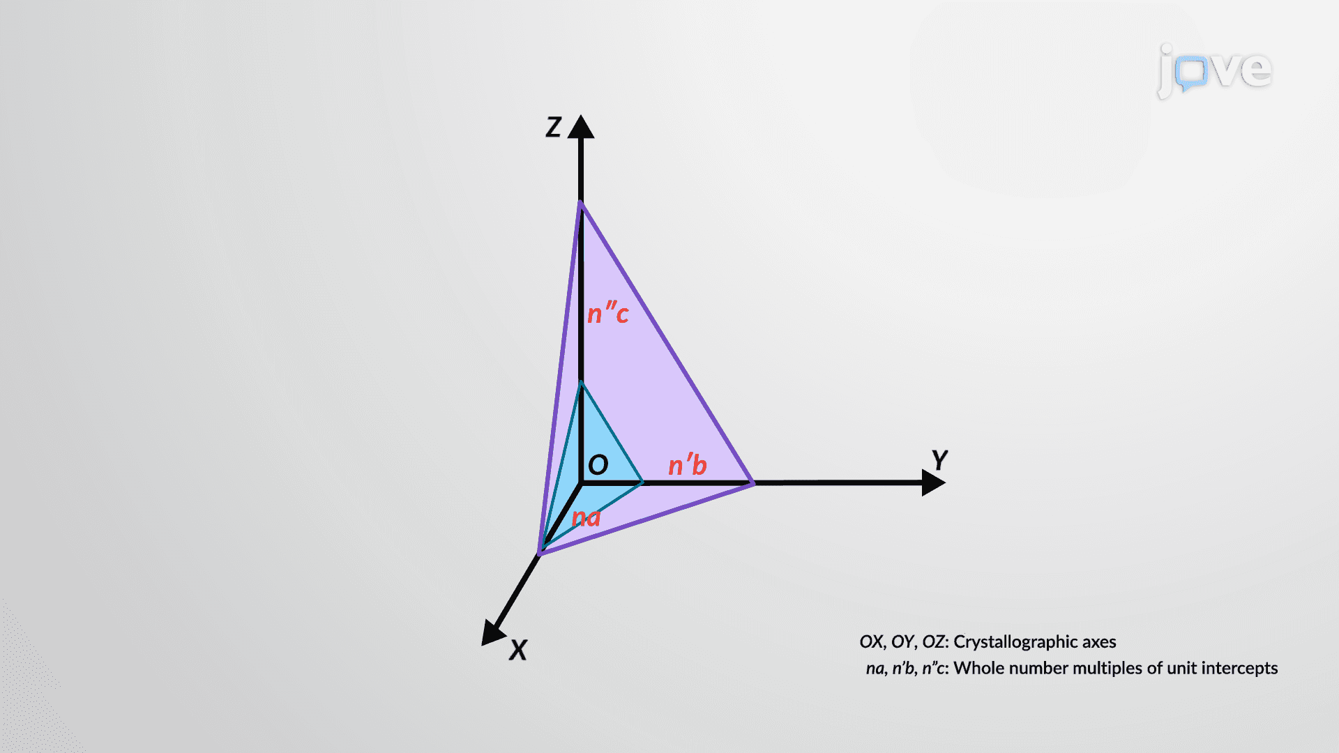 Law of Rational Indices