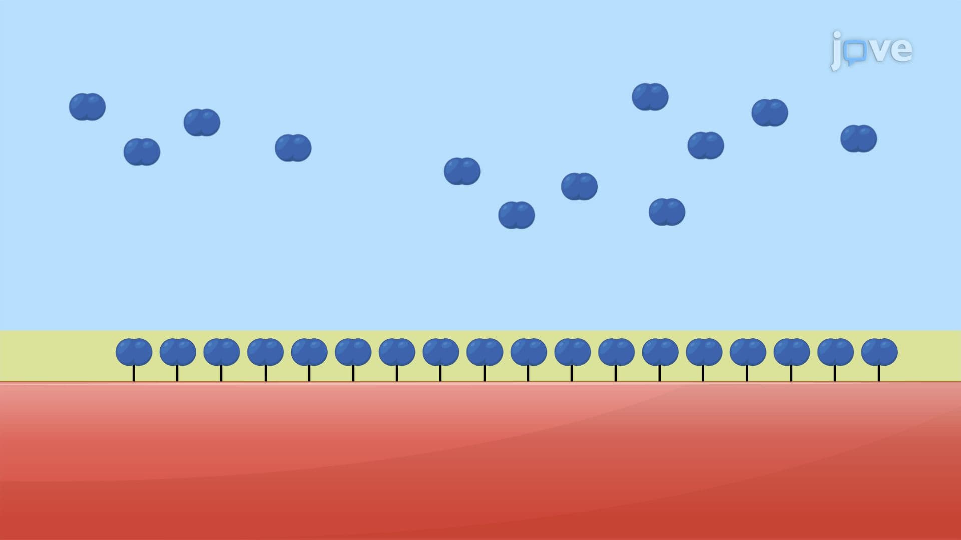 Adsorption of Gases on Solids