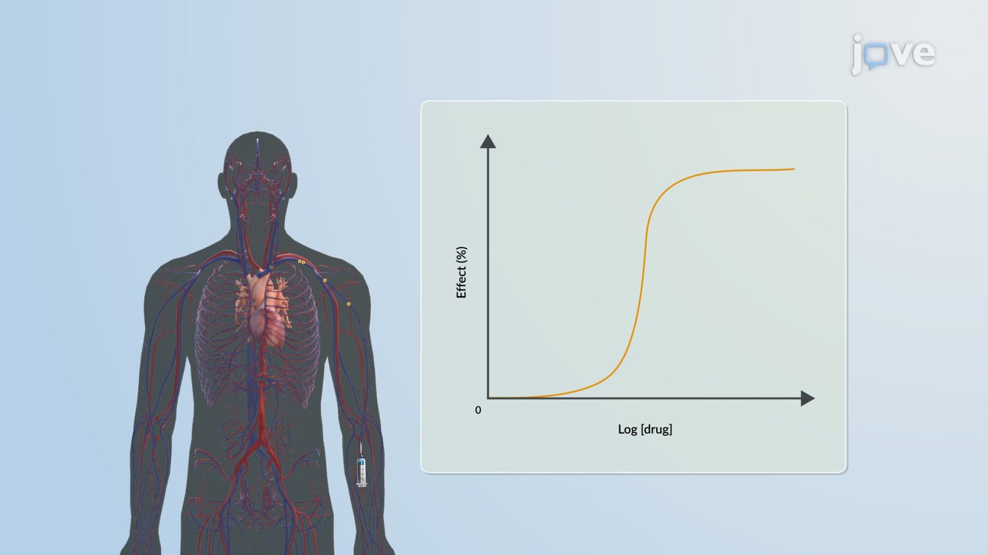 Pharmacokinetic–Pharmacodynamic Relationship: Intensity of Dose-Effect Relationship