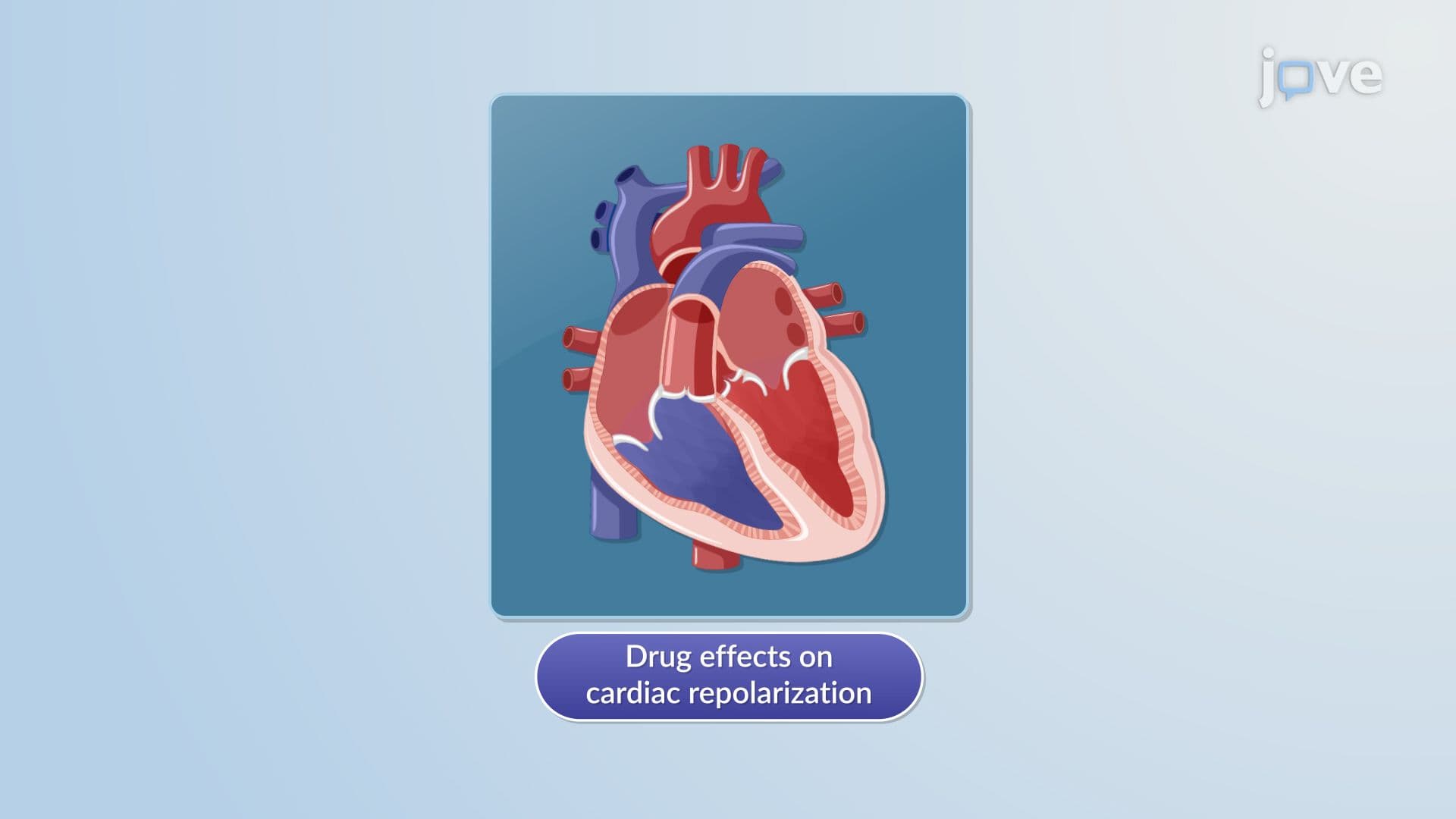 Pharmacodynamic Models: Linear Concentration–Effect Model