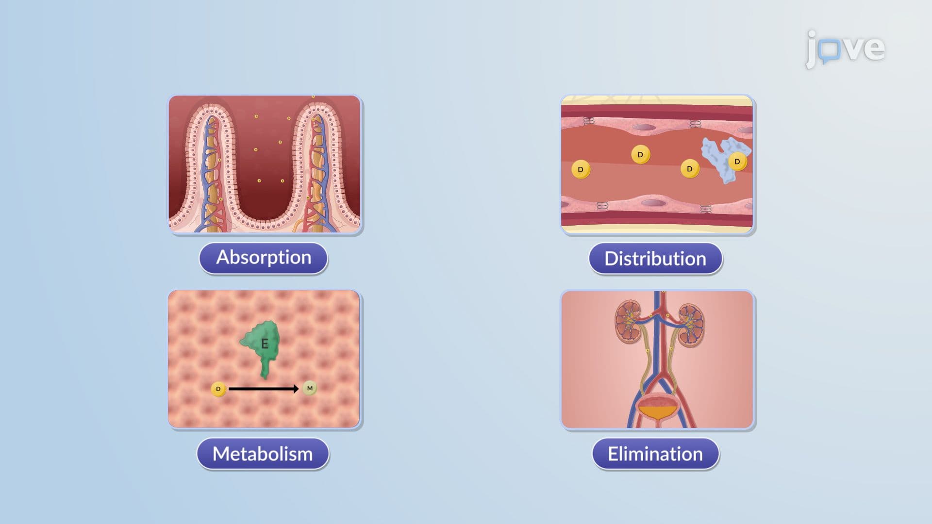 Modified-Release Drug Delivery Systems: Drug Release Characteristics