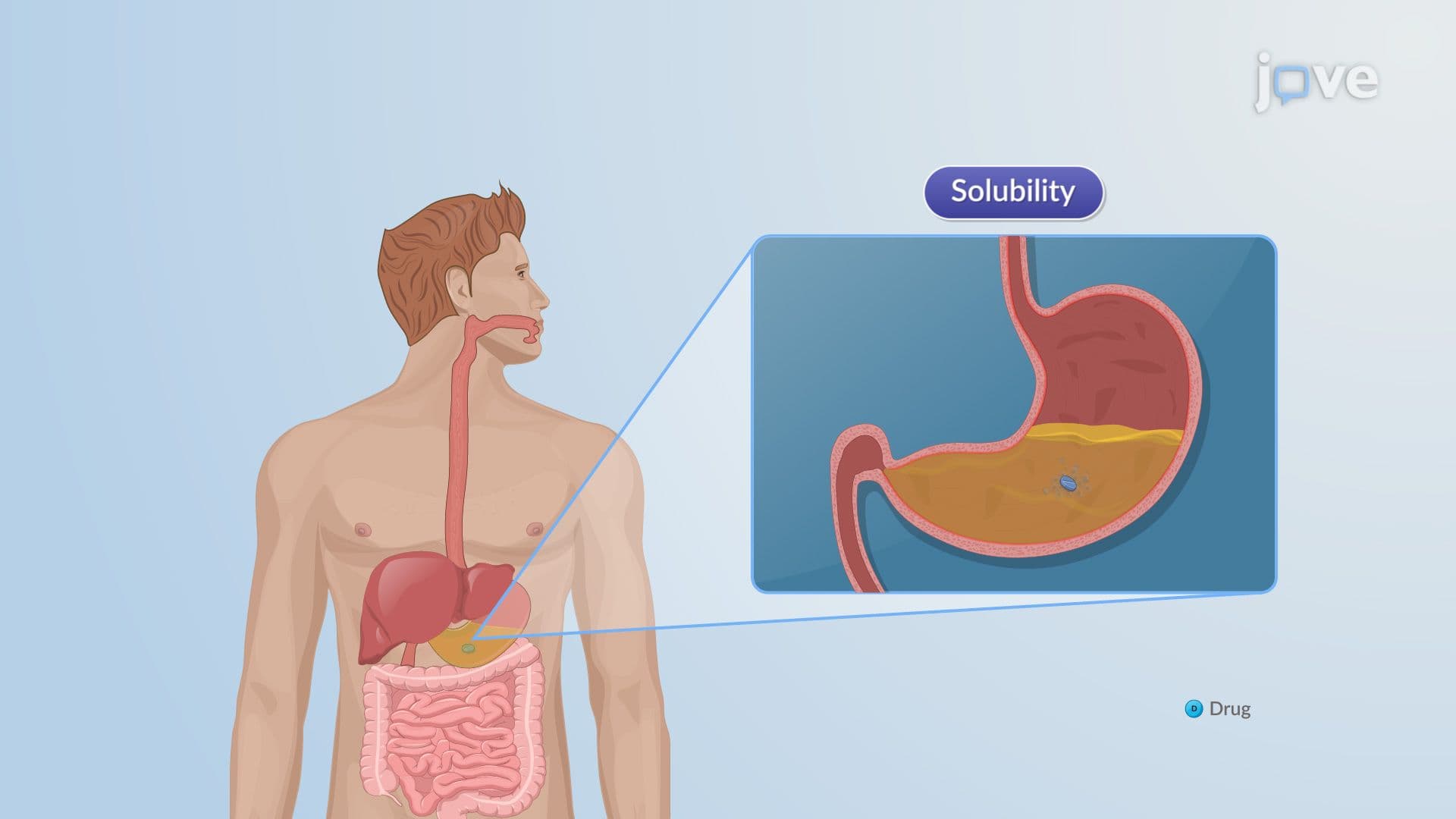 Oral Drug Delivery Systems: Introduction