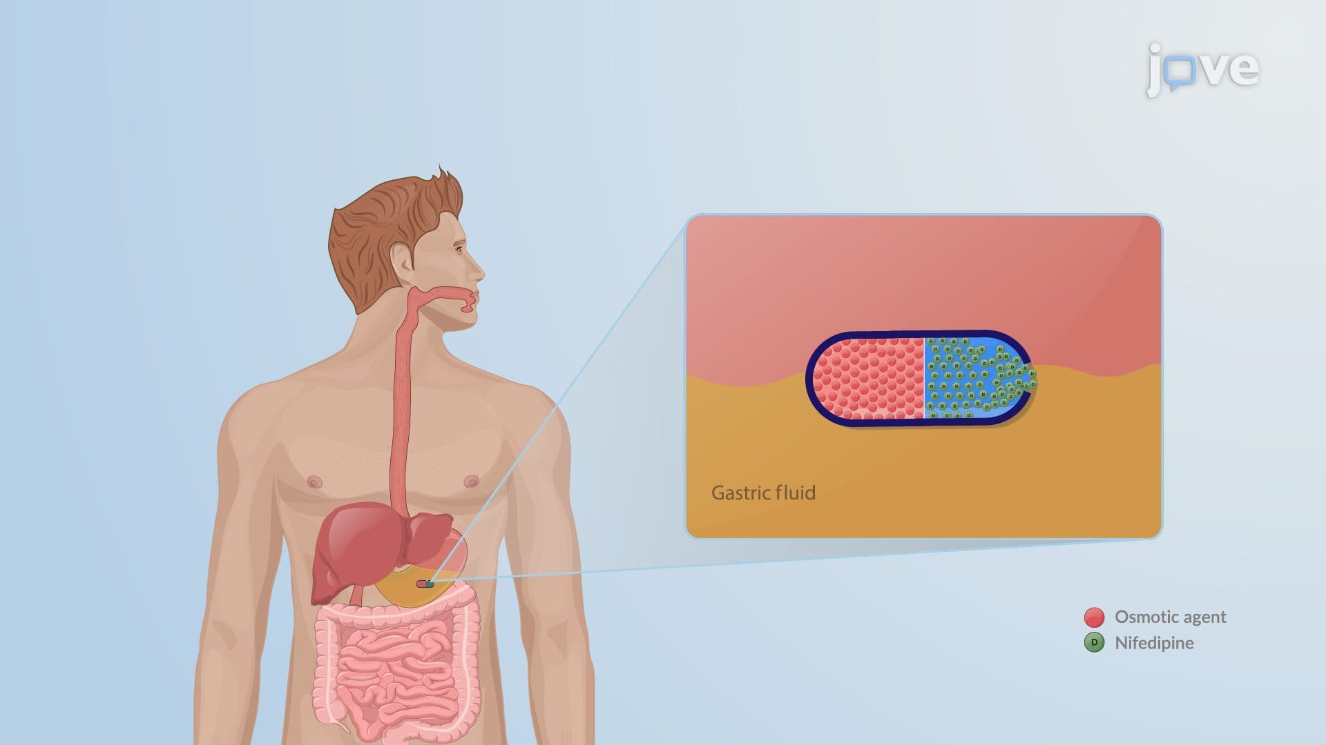 Oral Drug Delivery Systems: Continuous-Release Systems
