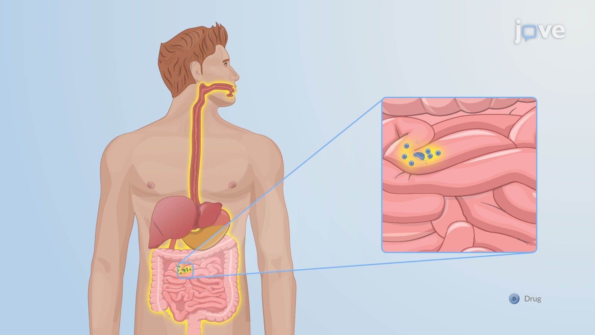 Oral Drug Delivery Systems: Delayed-Release Systems