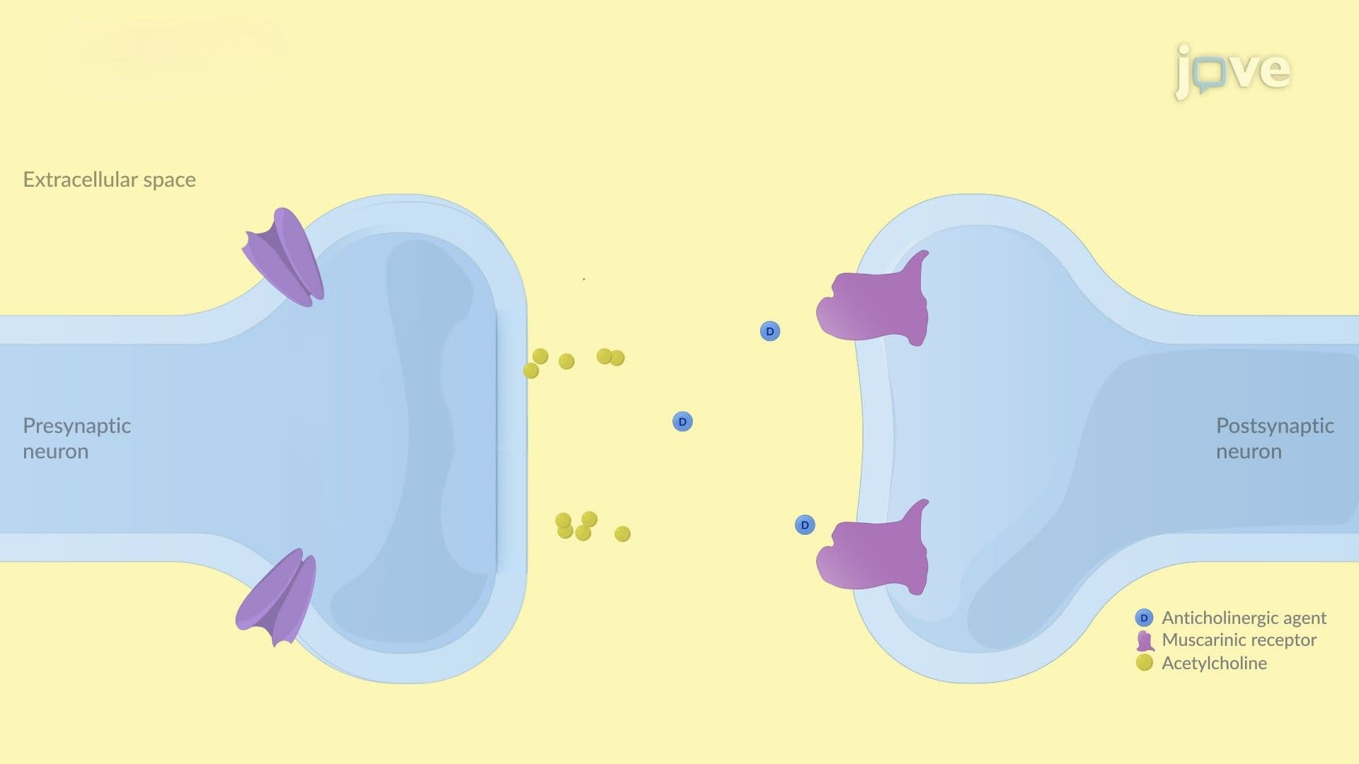 Toxidromes: Clinical Features