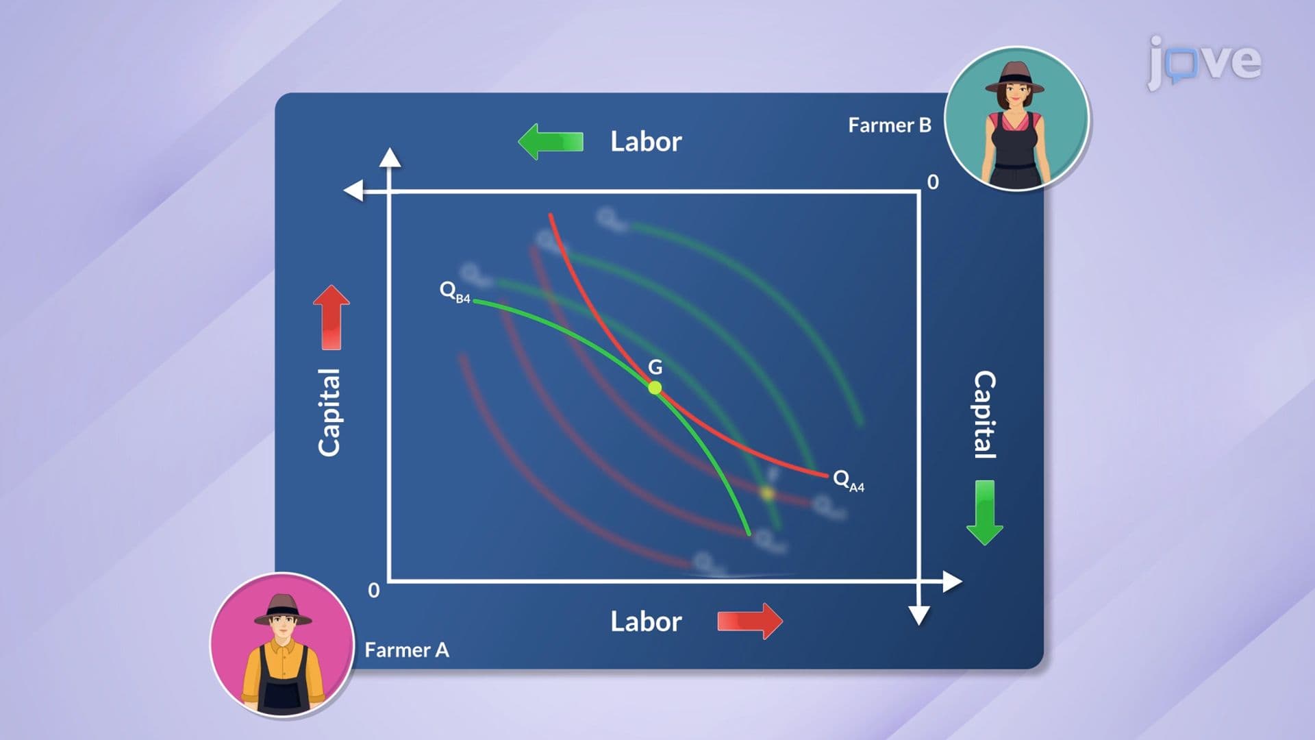 Input Efficiency II