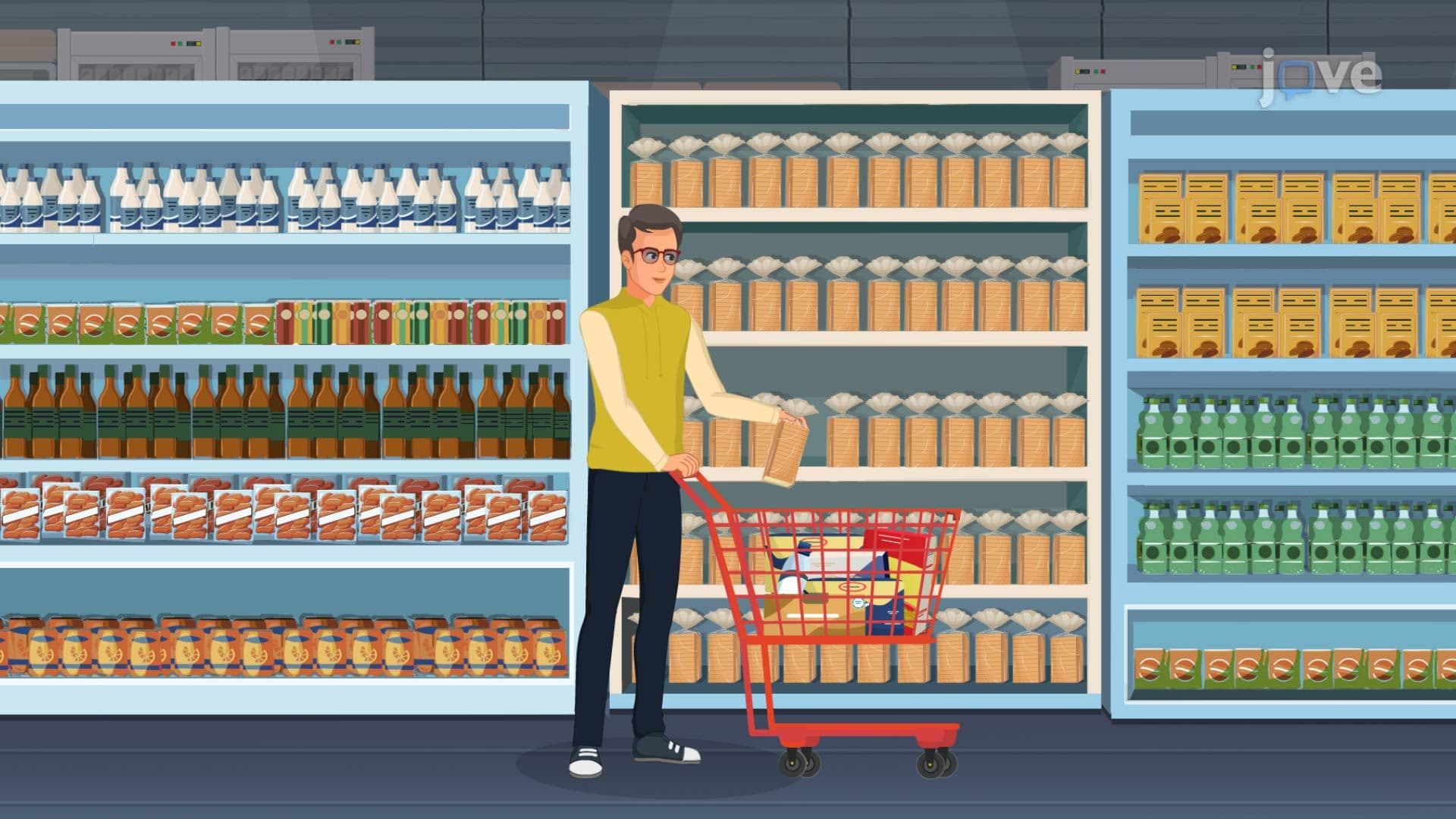 Diminishing Marginal Utility of Income