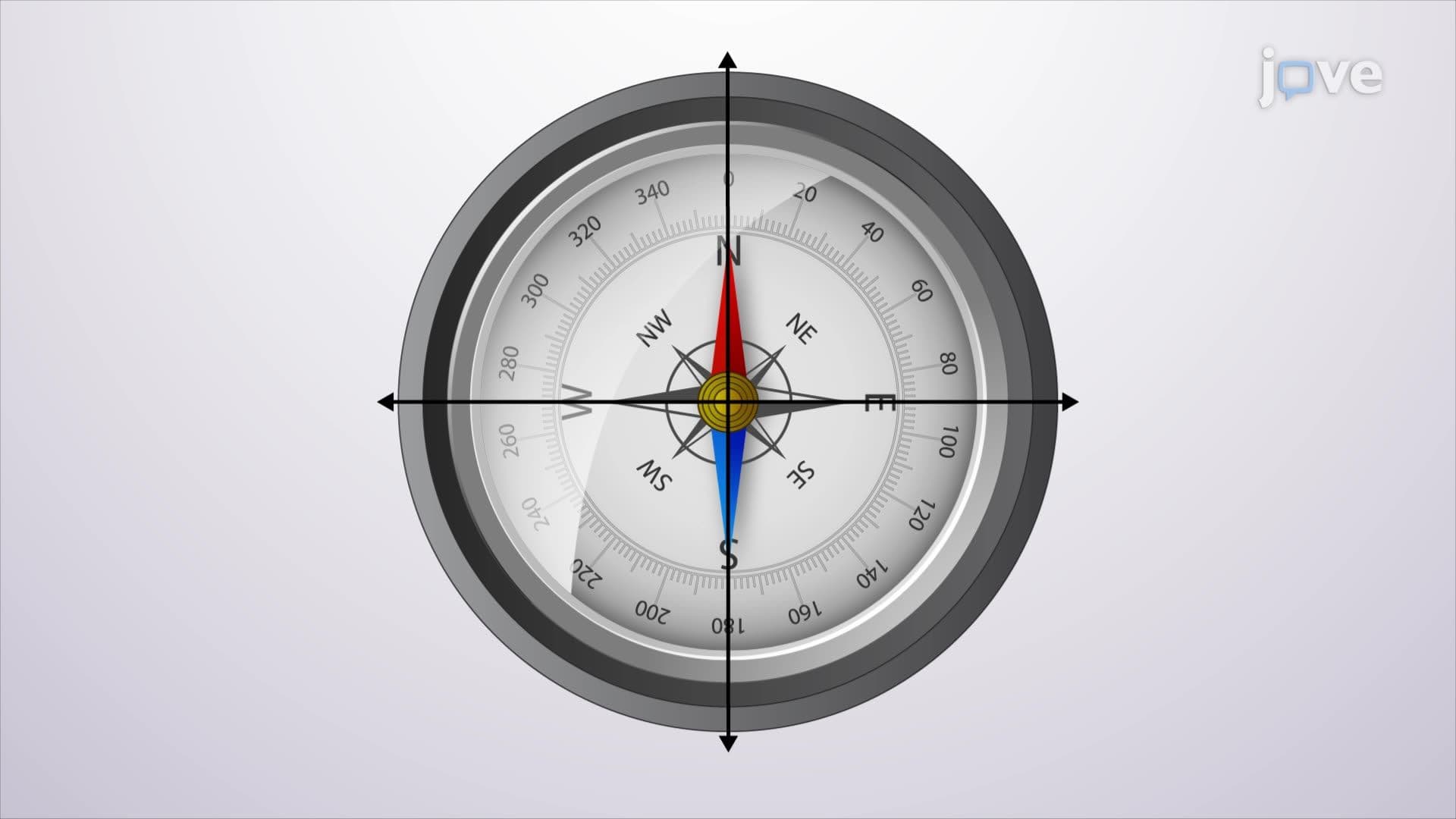 Compass