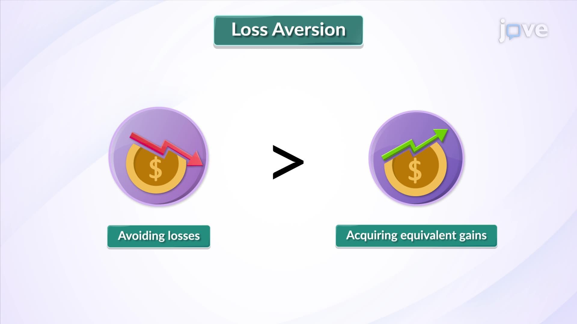 The Concept of Loss Aversion
