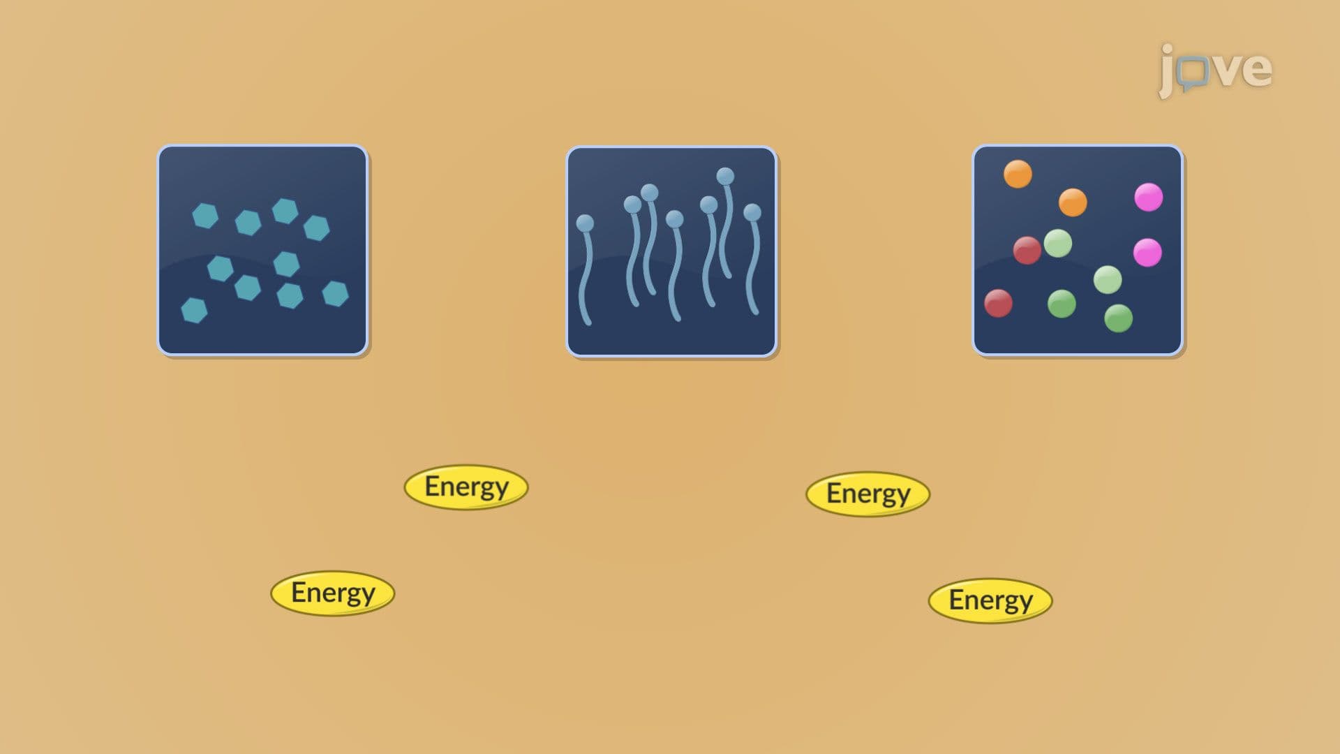 Introduction to Metabolism
