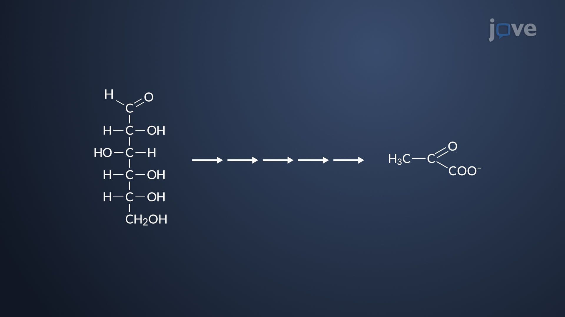 Glycolysis