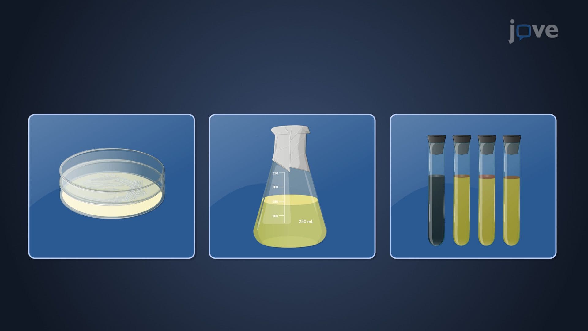 Microbial Growth Media