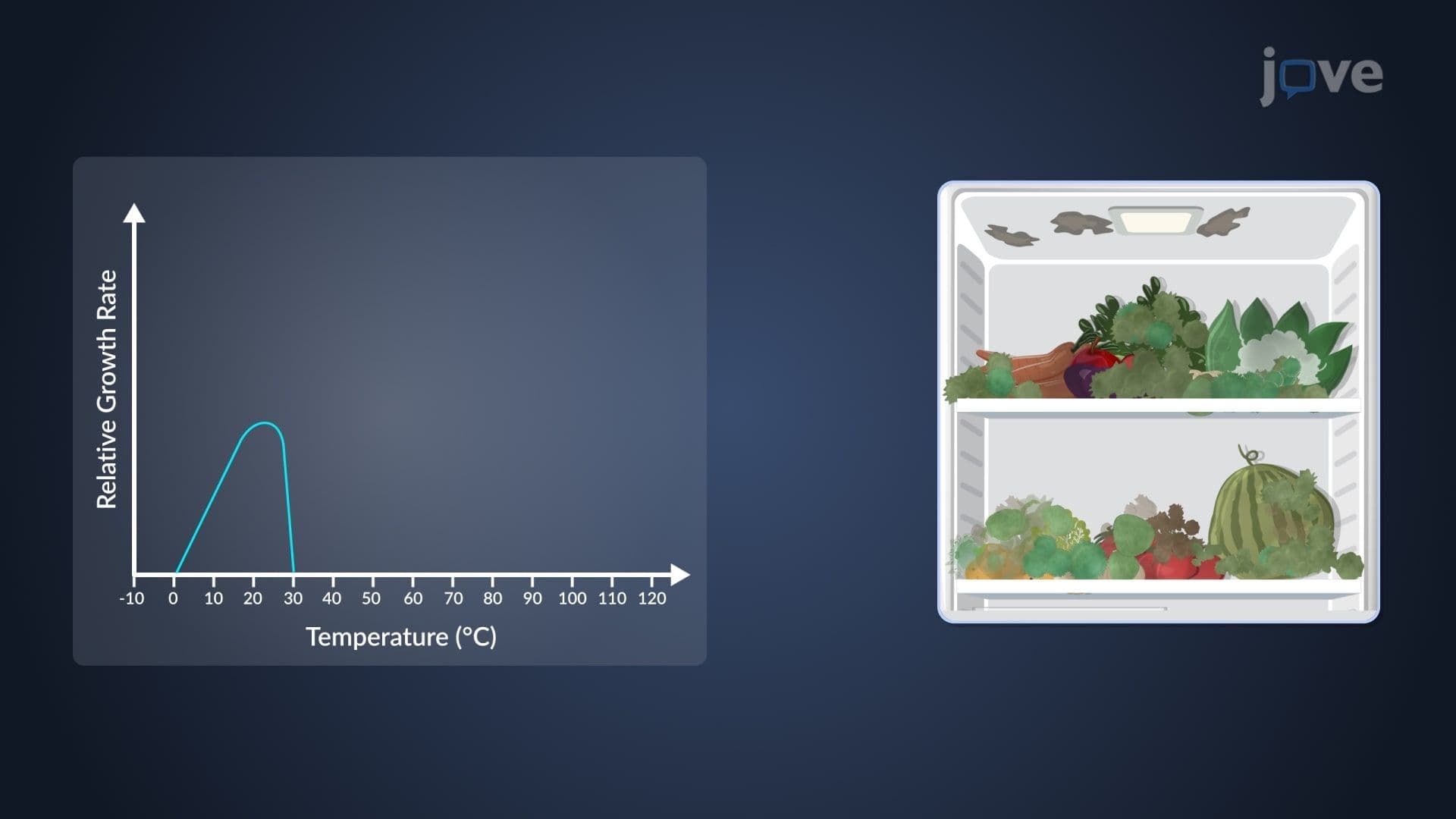 Factors Influencing Microbial Growth: Temperature