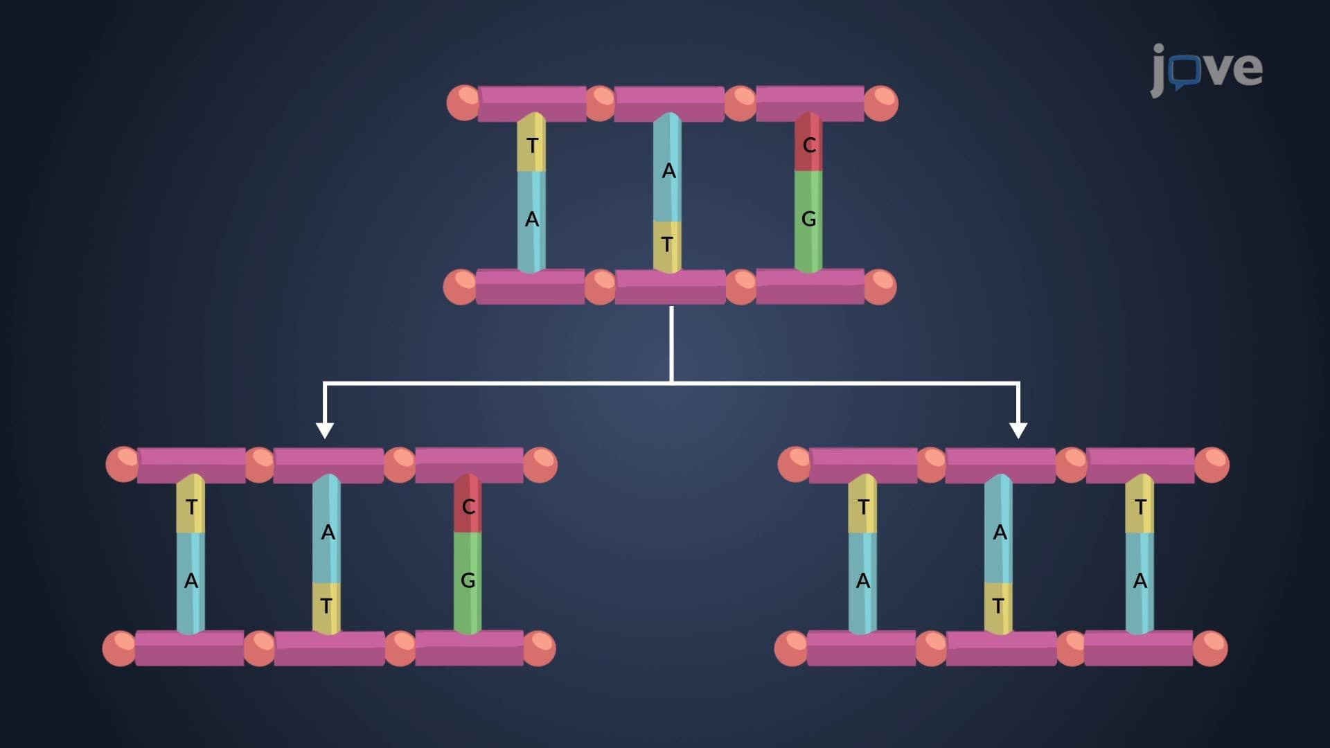 Mutations in Microorganisms
