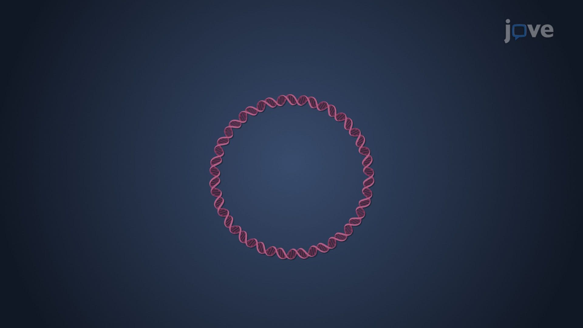 Plasmids