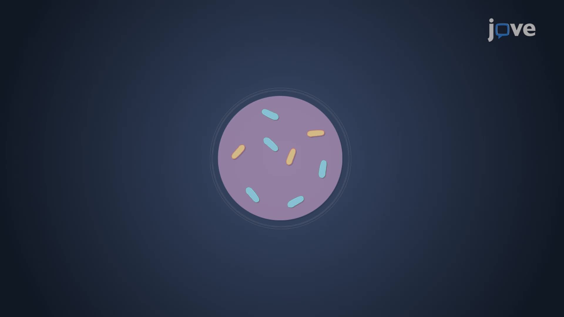 Three-Domain System of Life