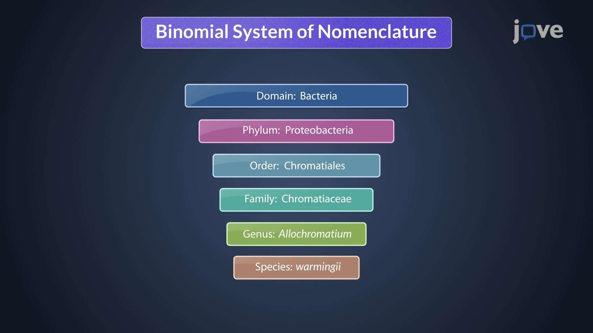 Microbial Classification System