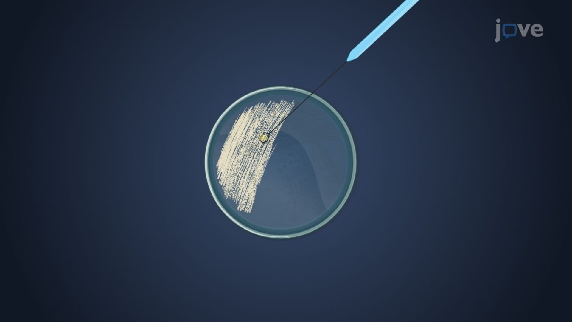 Key Techniques in Microbiology