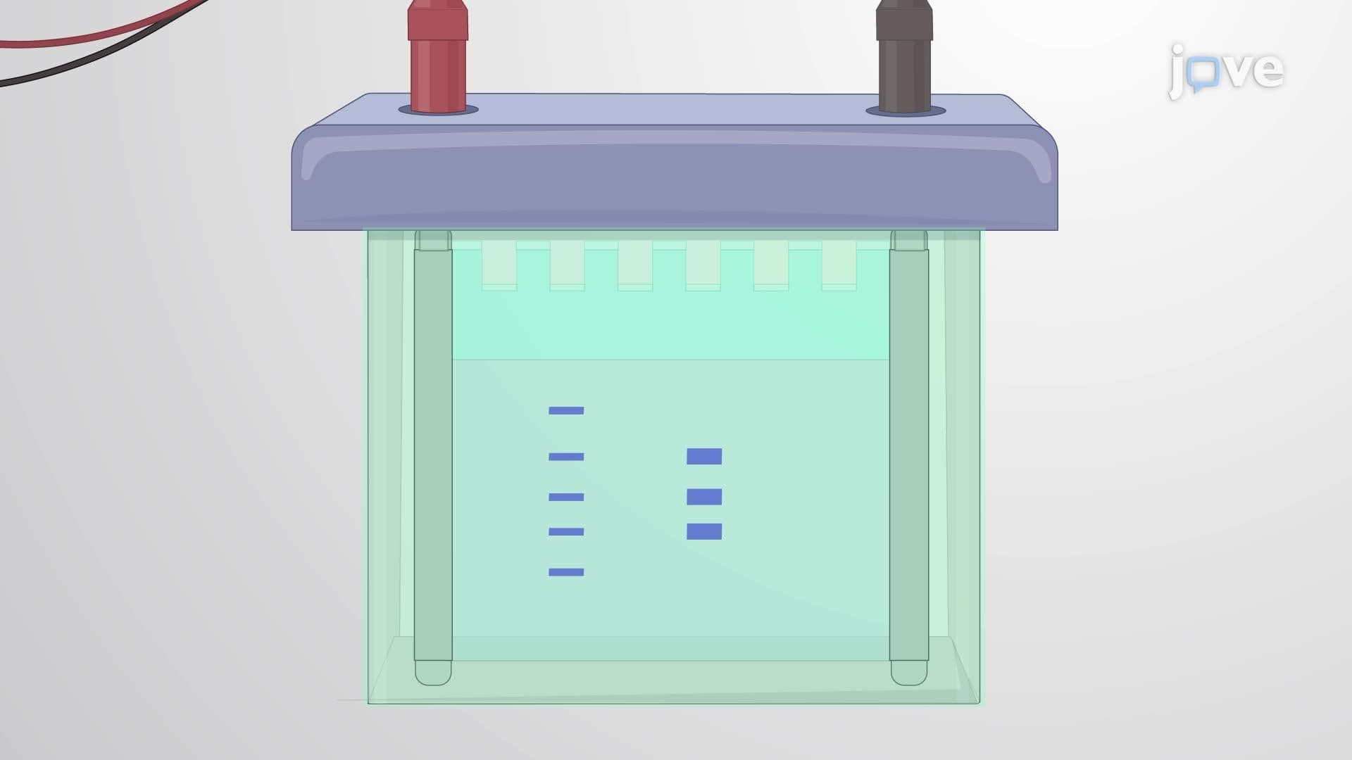 Detecting Histone Modifications in Yeast Cells with Neurodegenerative Protein Overexpression