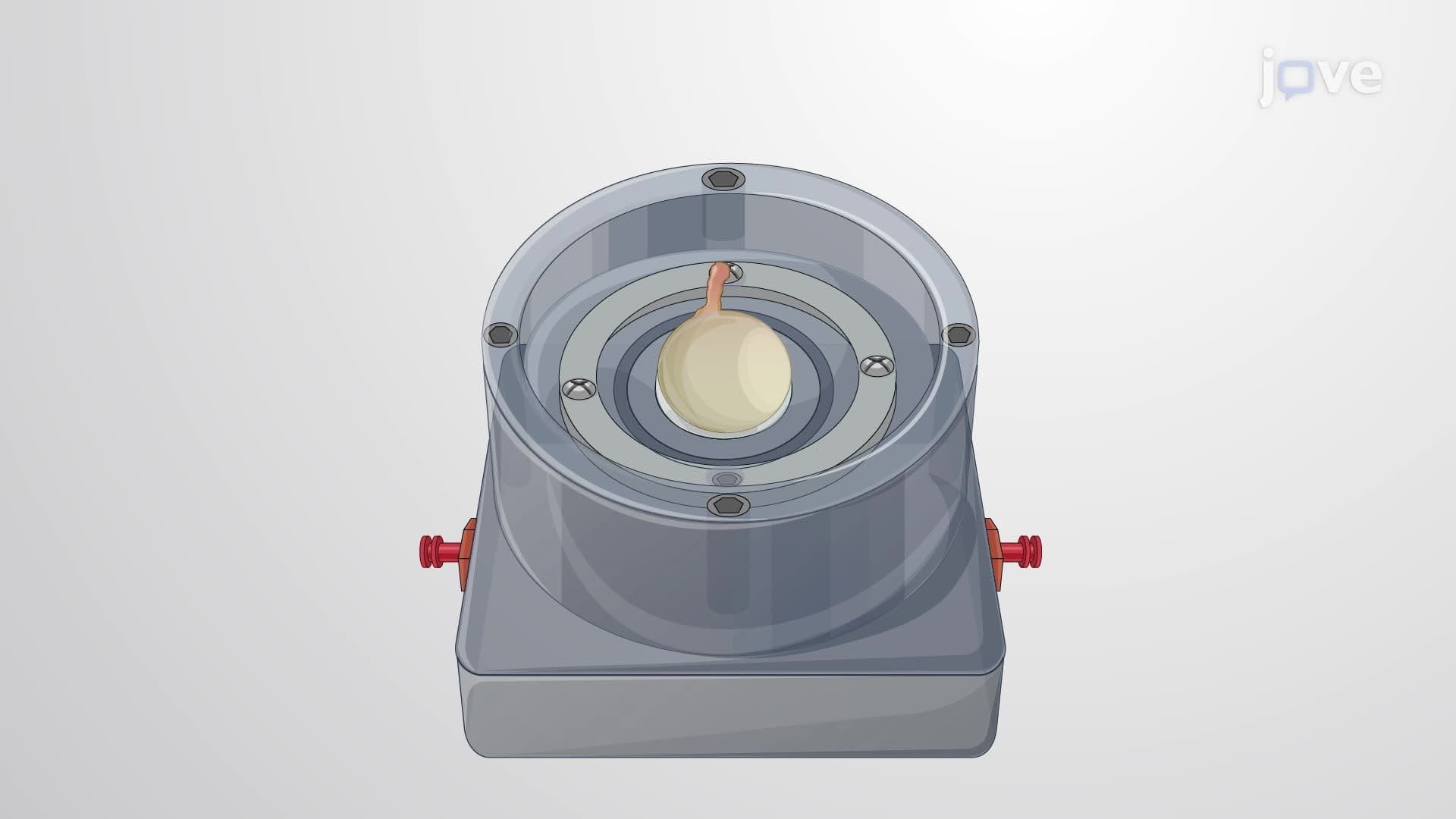 Developing a Translaminar Pressure Model Using a Translaminar Autonomous System