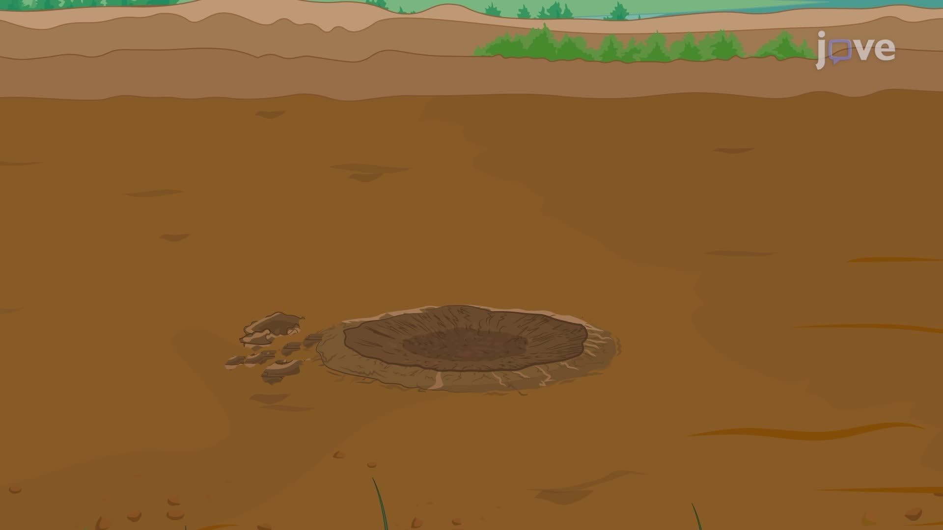 Soil Core Sample Collection for Water Retention Property Analysis
