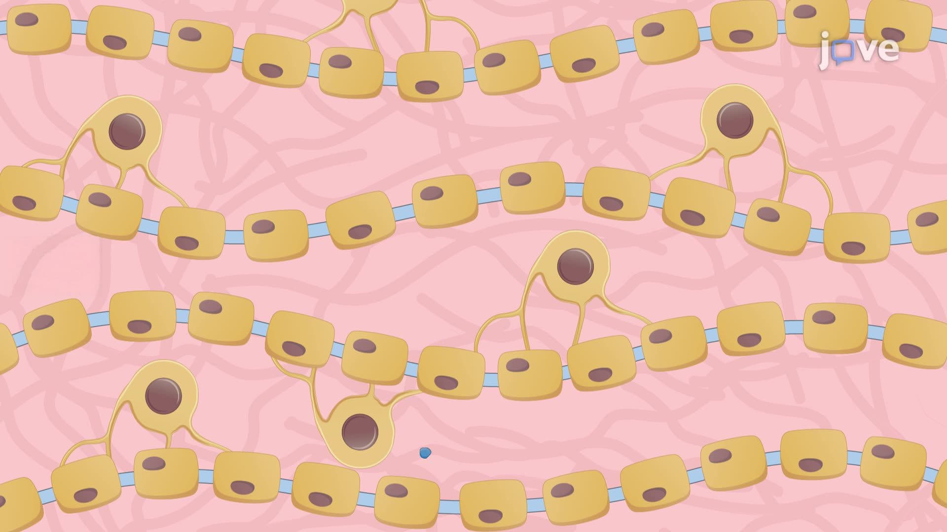 Osmotic Pump-Based Neurotherapeutic Drug Delivery in a Demyelinated Mouse Model