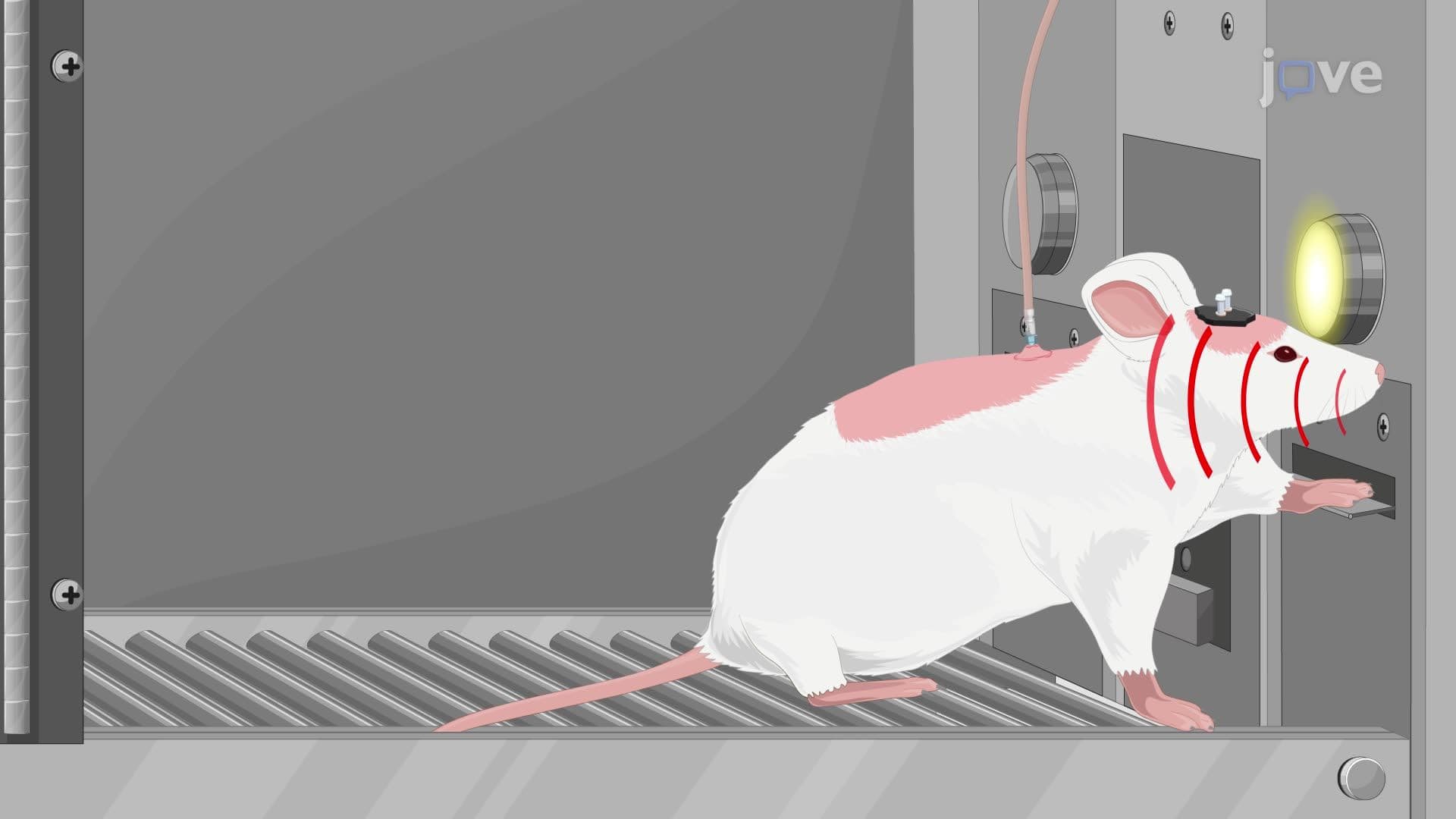 Optogenetic Induction of Long-Term Depression for Suppressing Narcotic-Seeking Behavior in Rats
