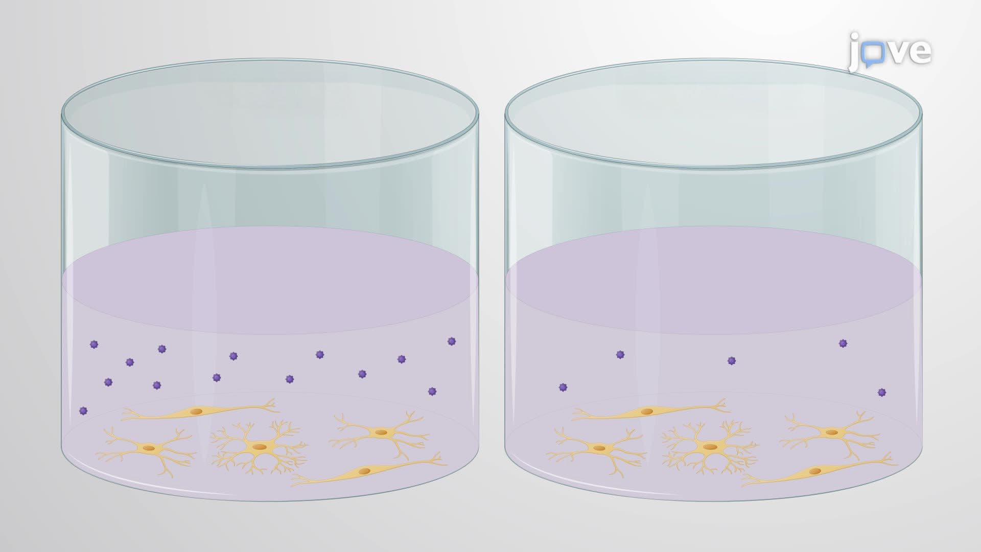 Nanoparticle-Mediated Enhanced Delivery of an Anti-Inflammatory Drug in Microglia-Like Cells