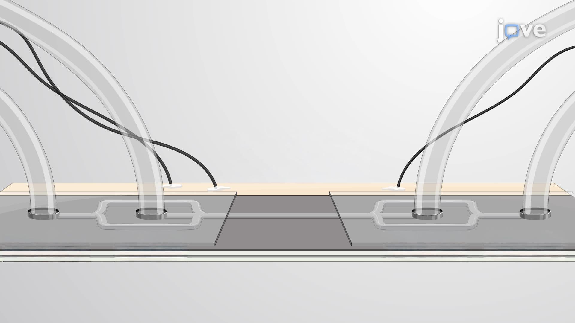 Aptamer-Assisted Acoustophoresis for Microfluidic Separation of Gram-Negative Bacteria