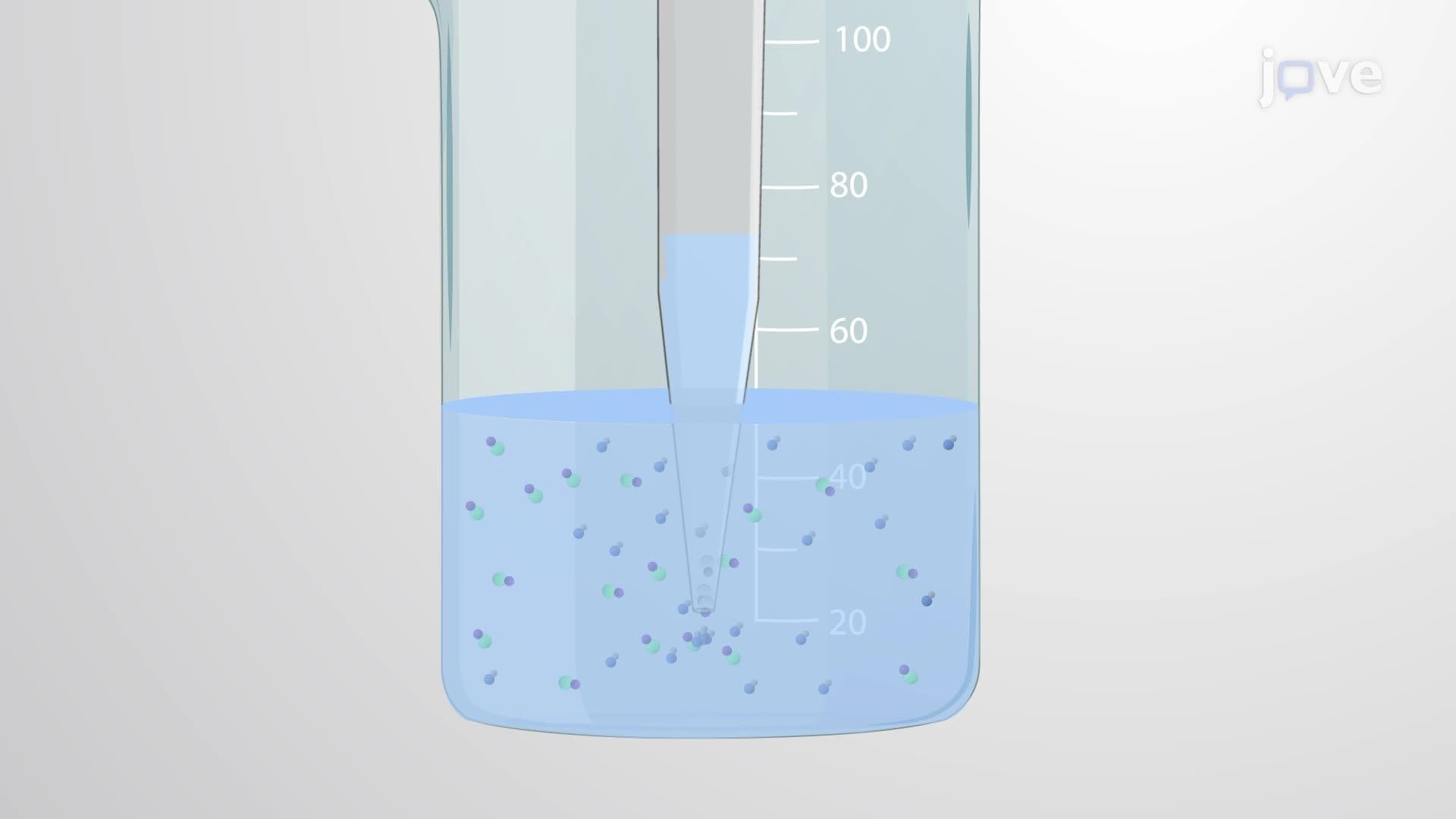 Microbiologically Induced Calcite Precipitation by Sporosarcina pasteurii