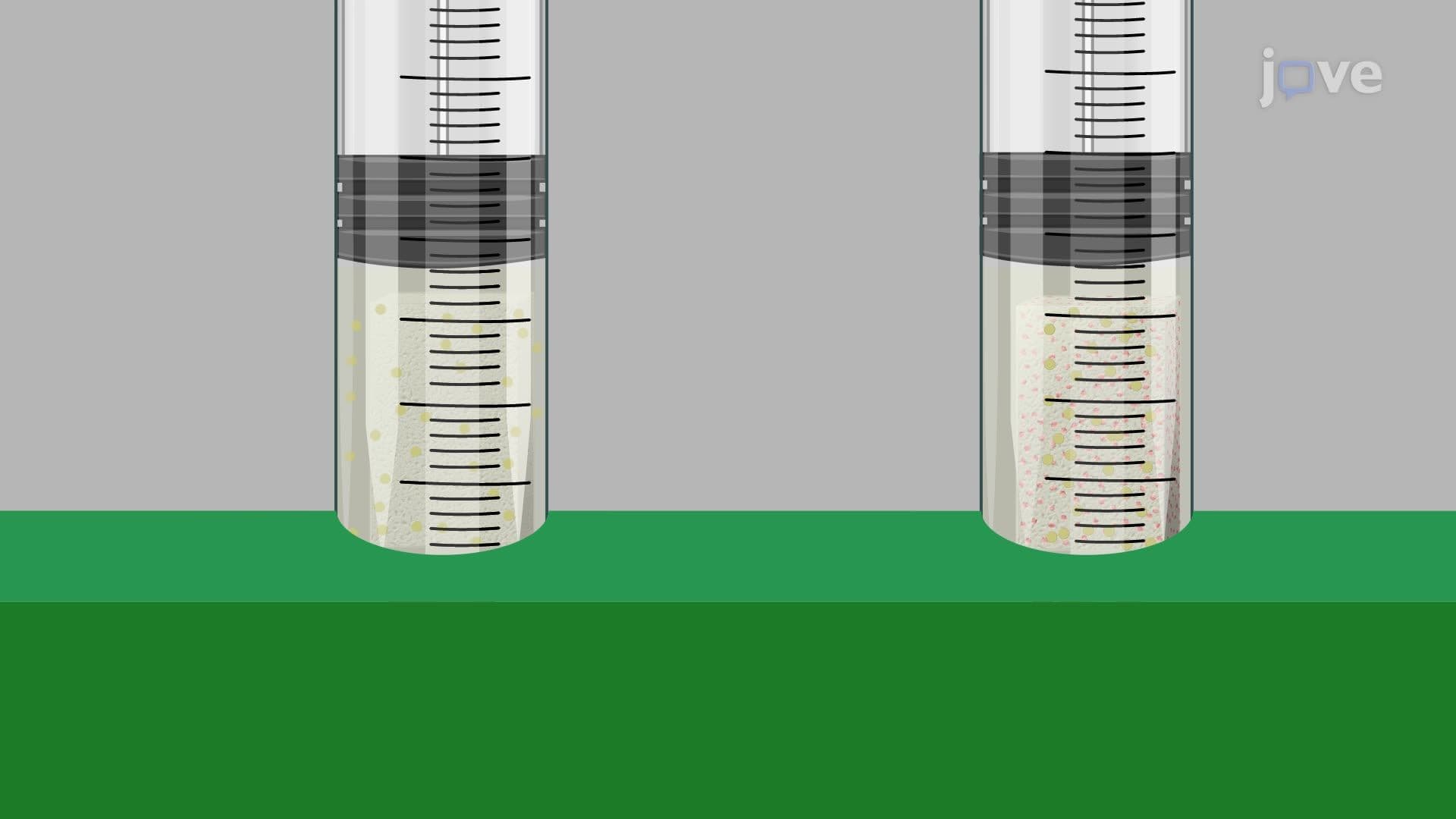 Determining the Antibacterial Efficacy of an Antibiotic-Loaded Polymeric Strip