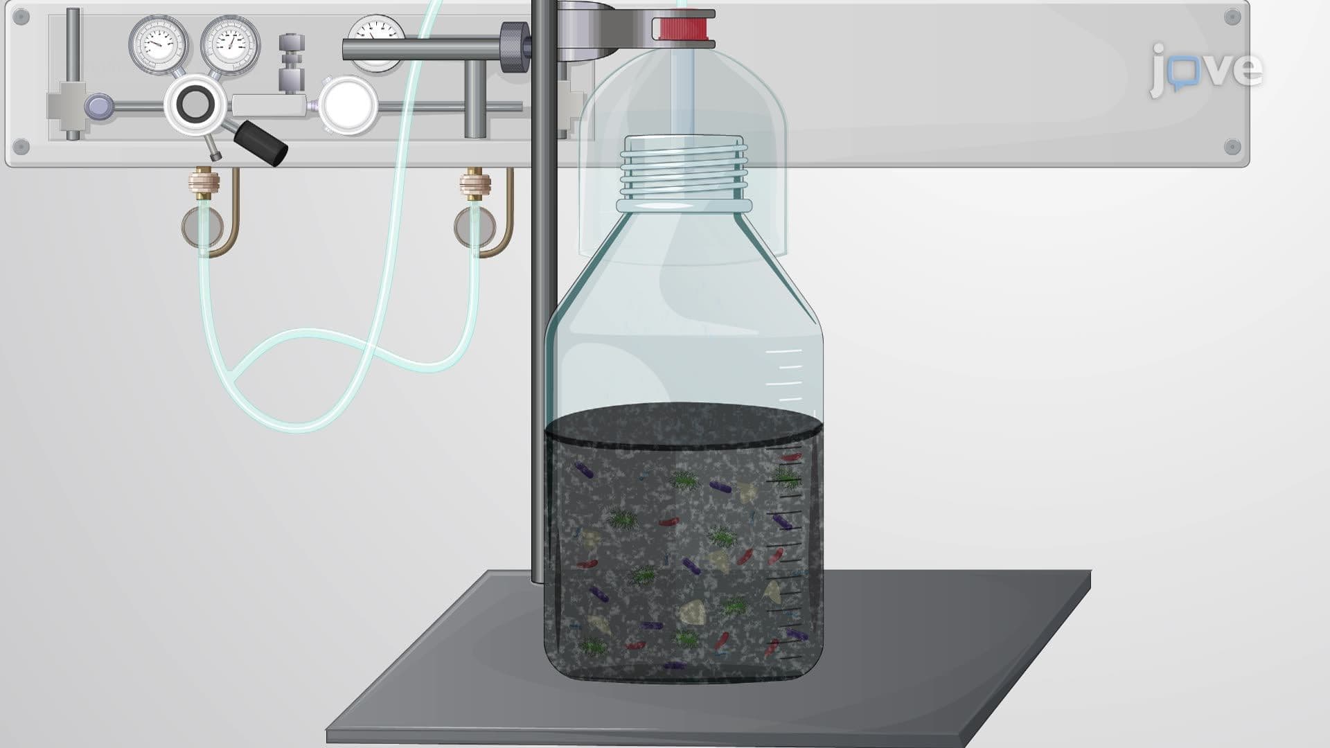 Preparing an Anaerobic Sludge Culture under Oxygen-Free Conditions