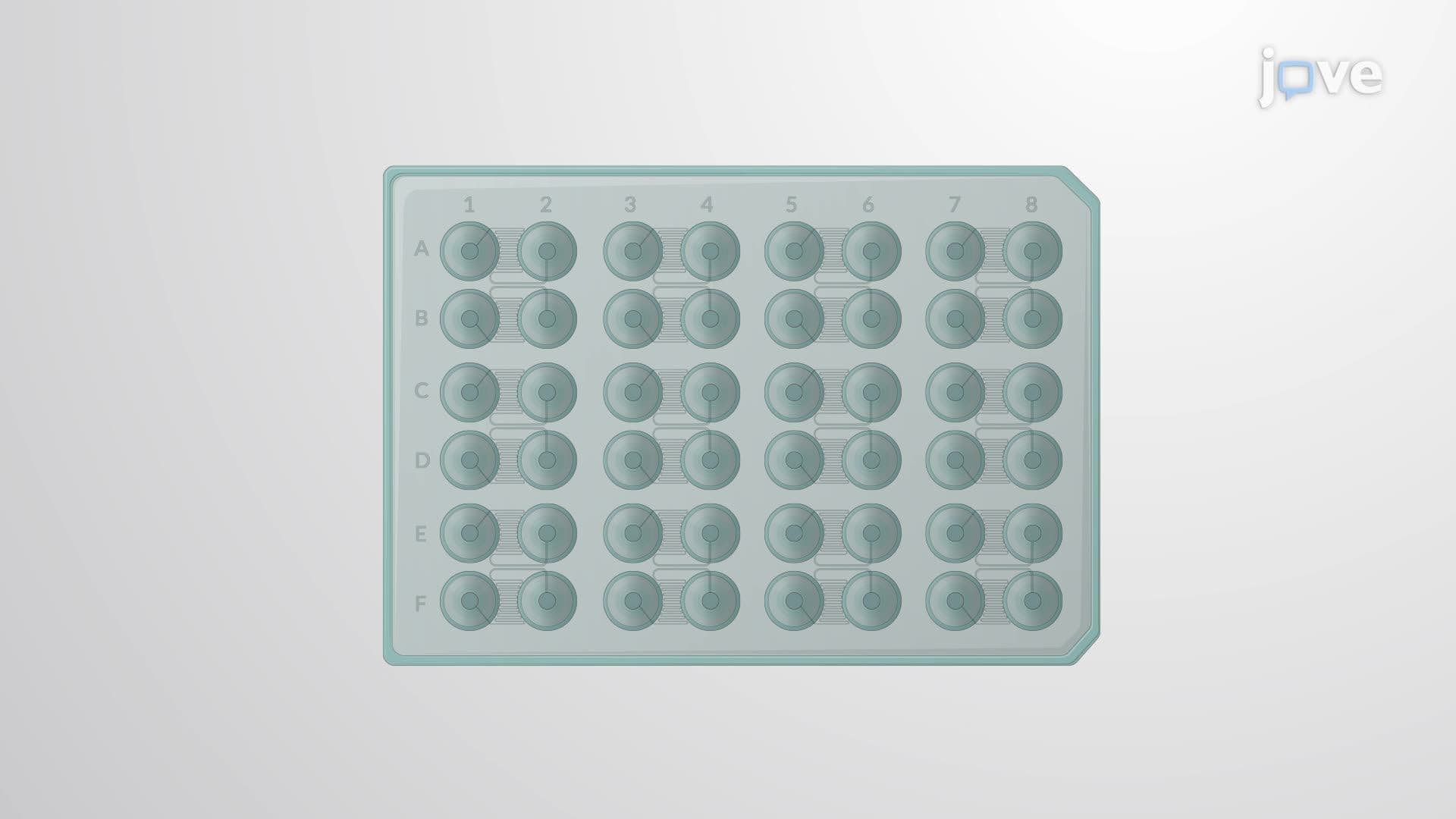 Preparation of a Microfluidic Plate with Bacterial Cells