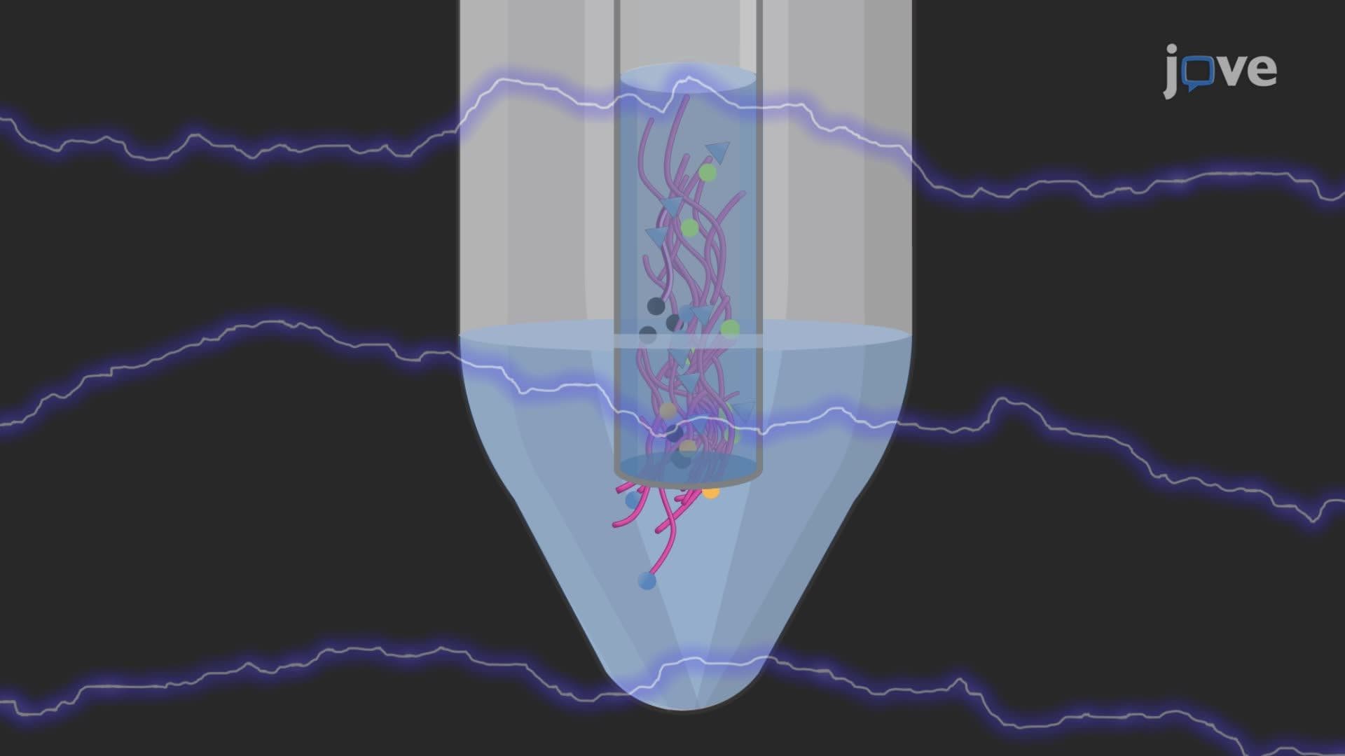 Detection of Fish Pathogens Using Variable Number Tandem Repeat (VNTR) Analysis