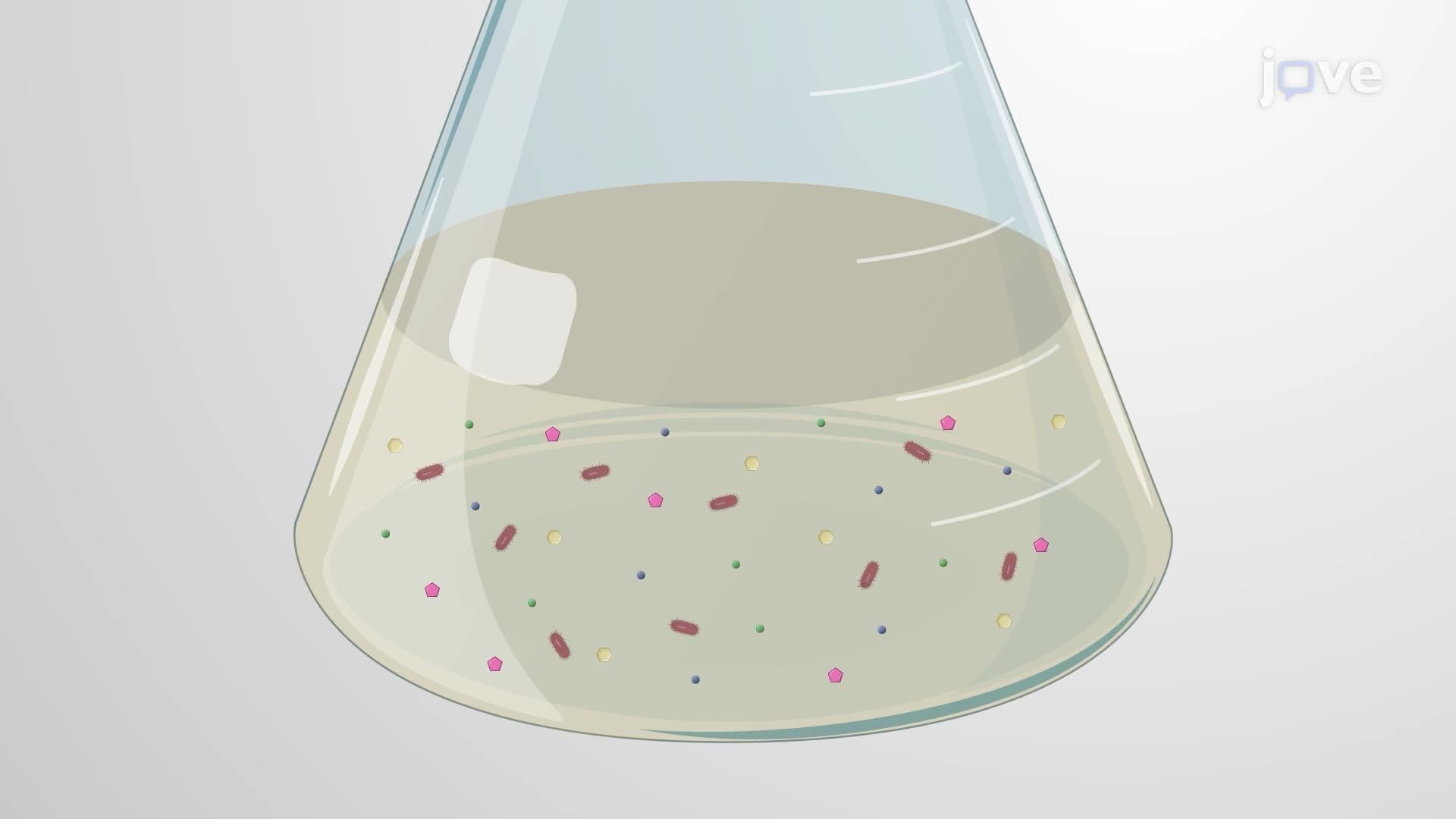 Microaerobic Fermentation of Bamboo Hydrolysate by Klebsiella pneumoniae