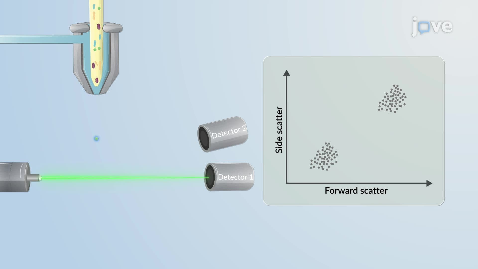 Methods to Assess Microbial Populations