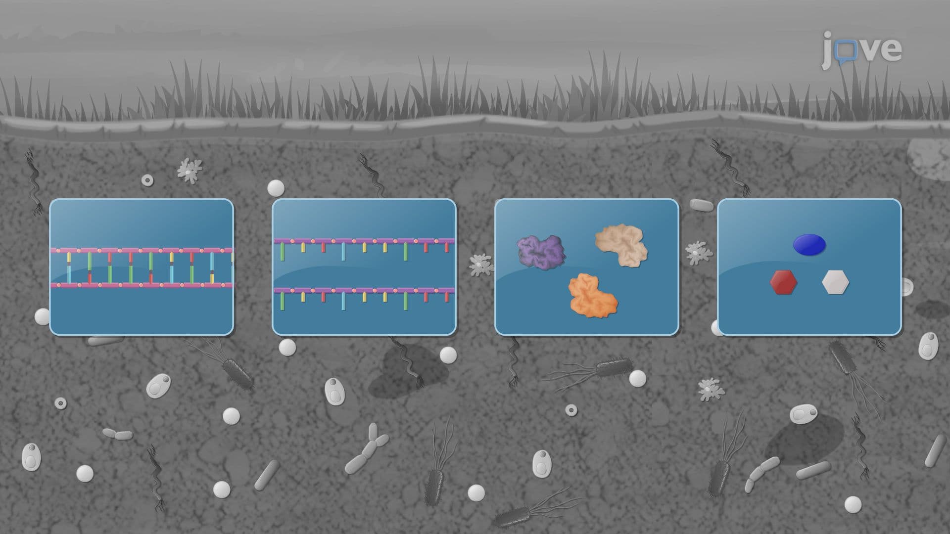 Methods to Assess Microbial Communities