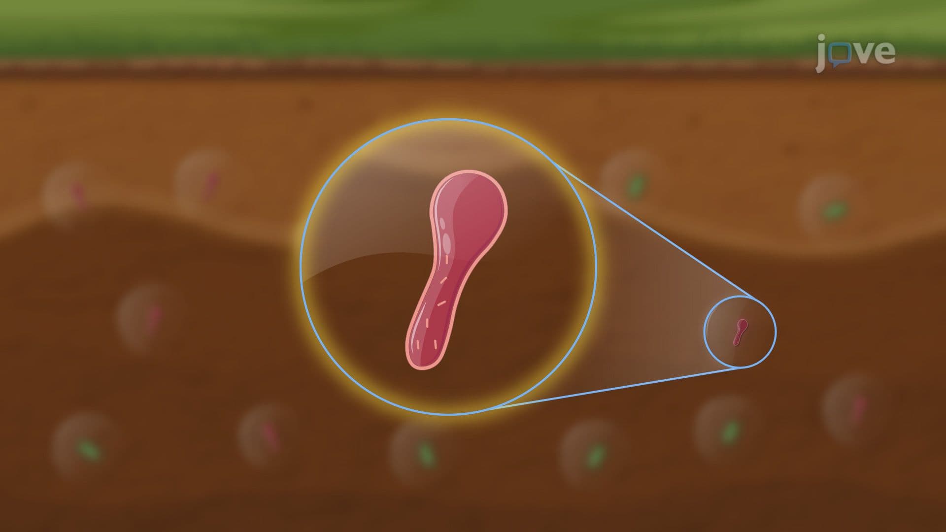 Microenvironments
