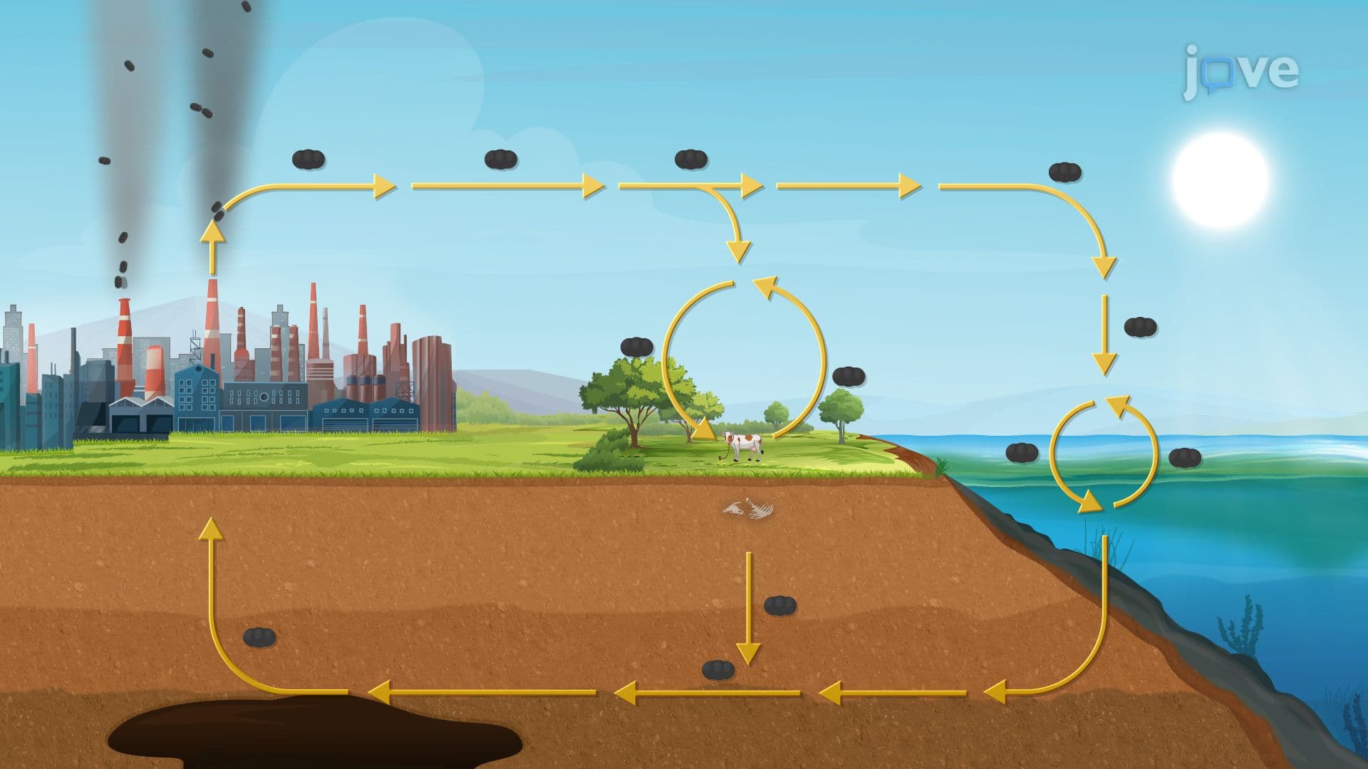 Microbes and the Carbon Cycle