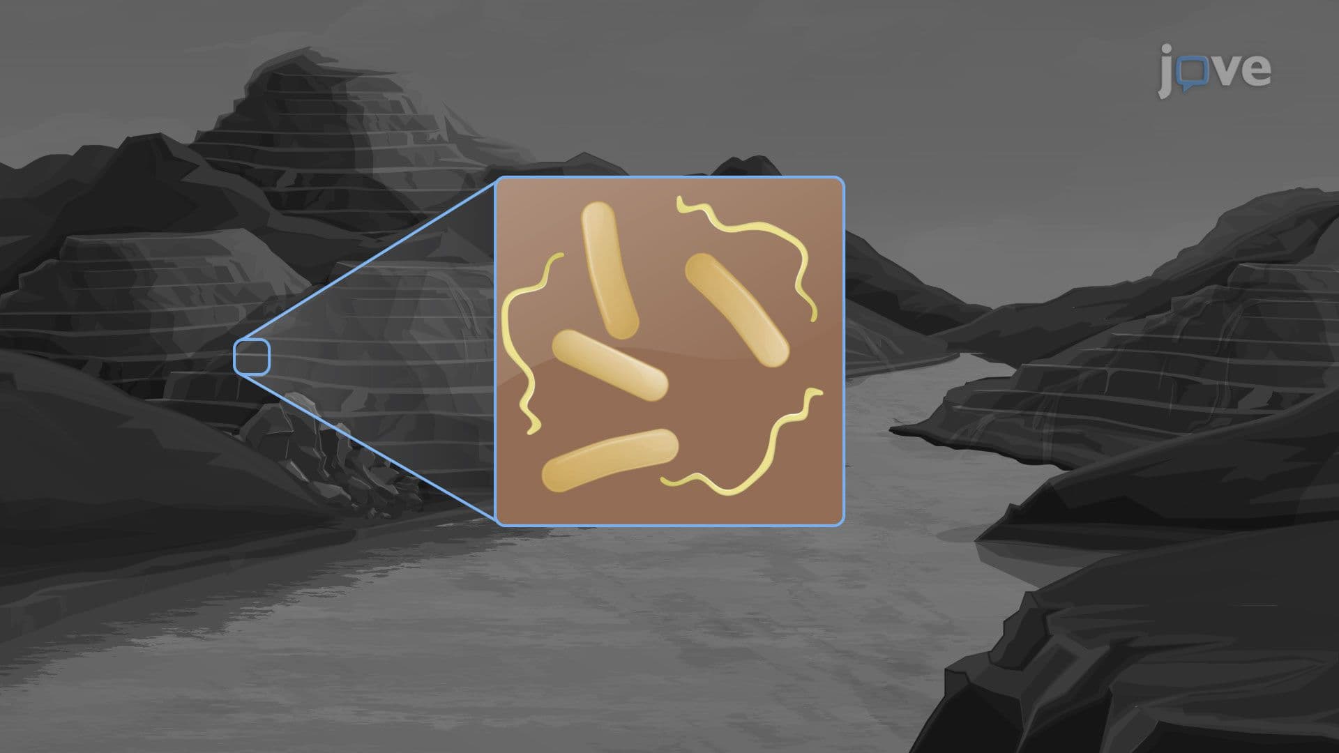 Acid Mine Drainage