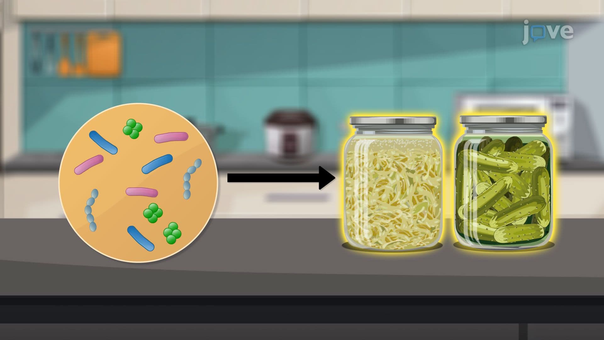 Microbes in the Production of Fermented Foods