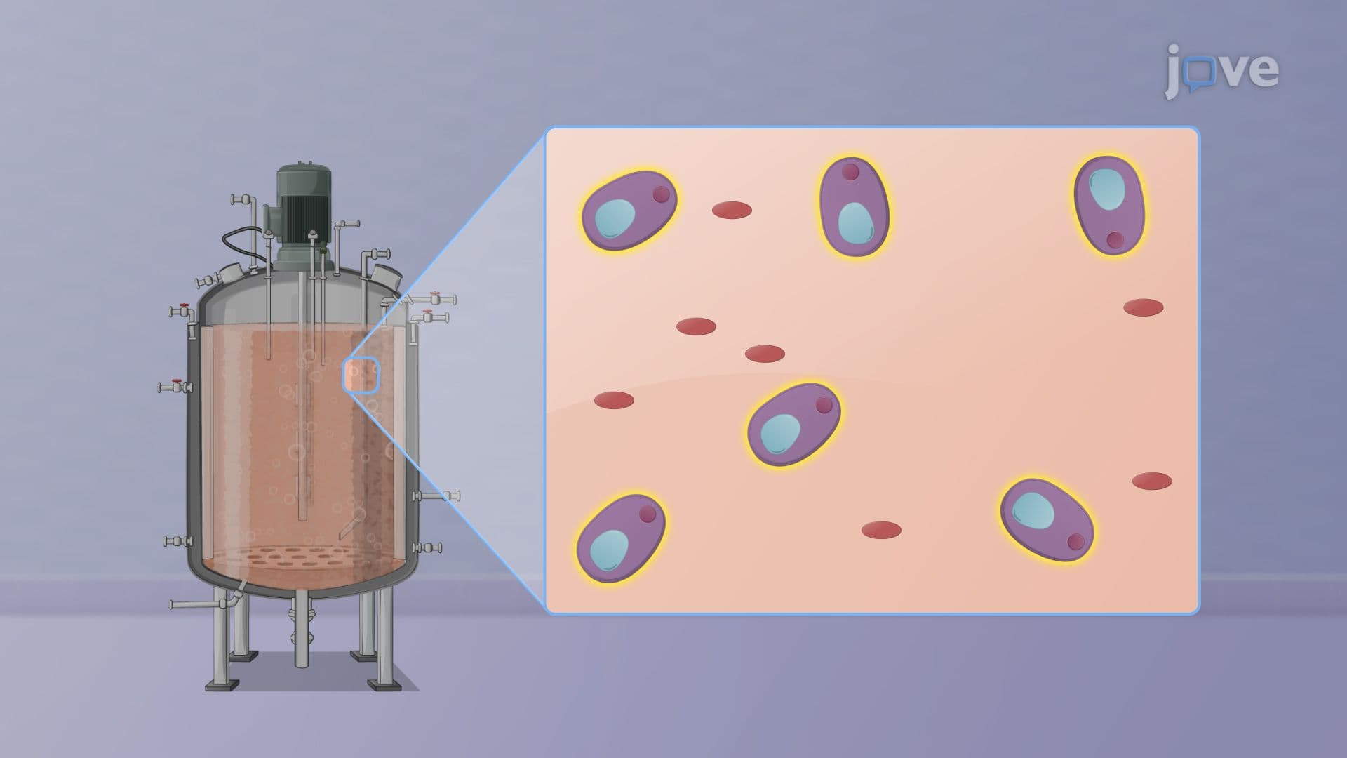 Bioreactor Controls-III