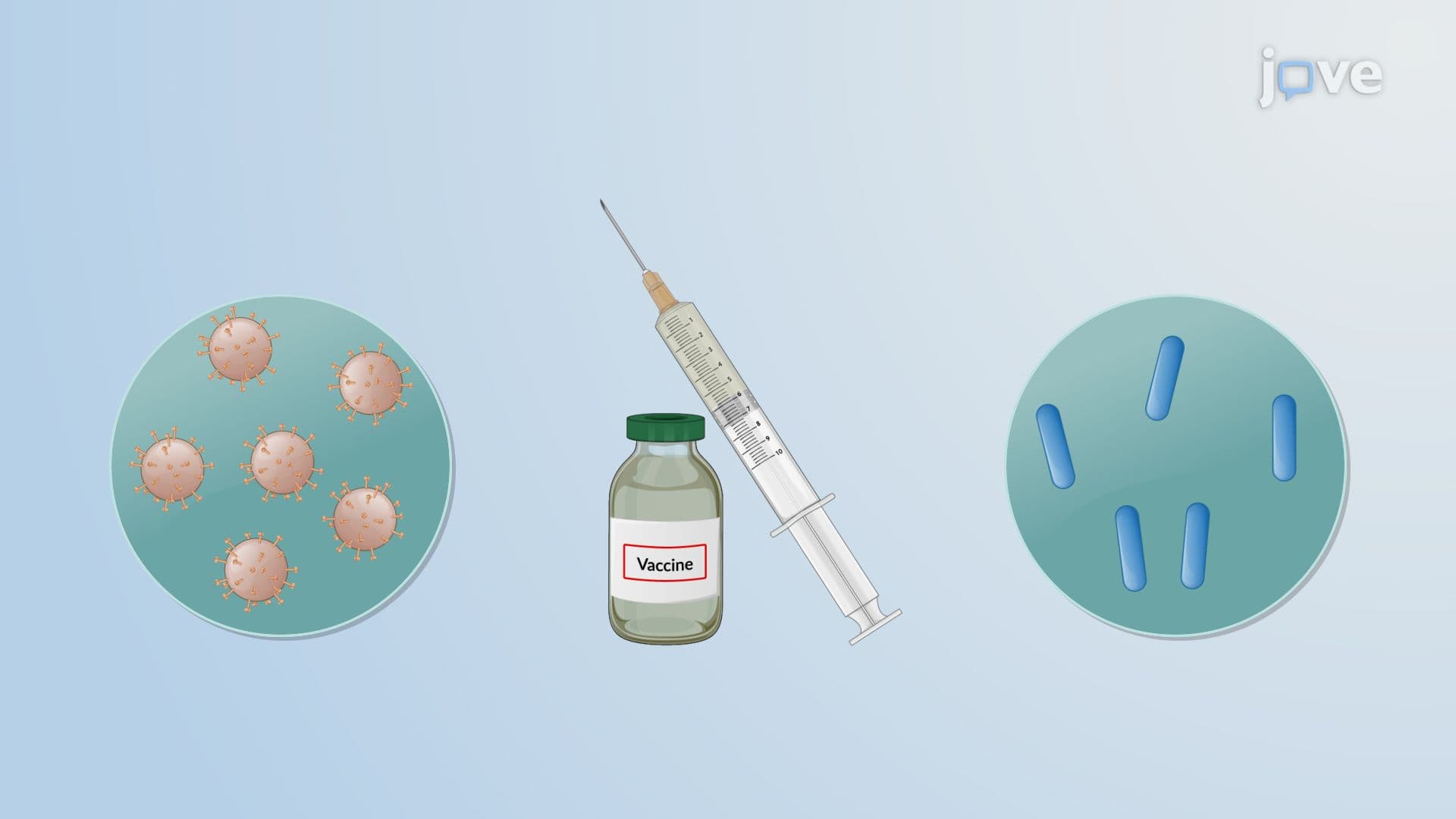 Vaccine Production