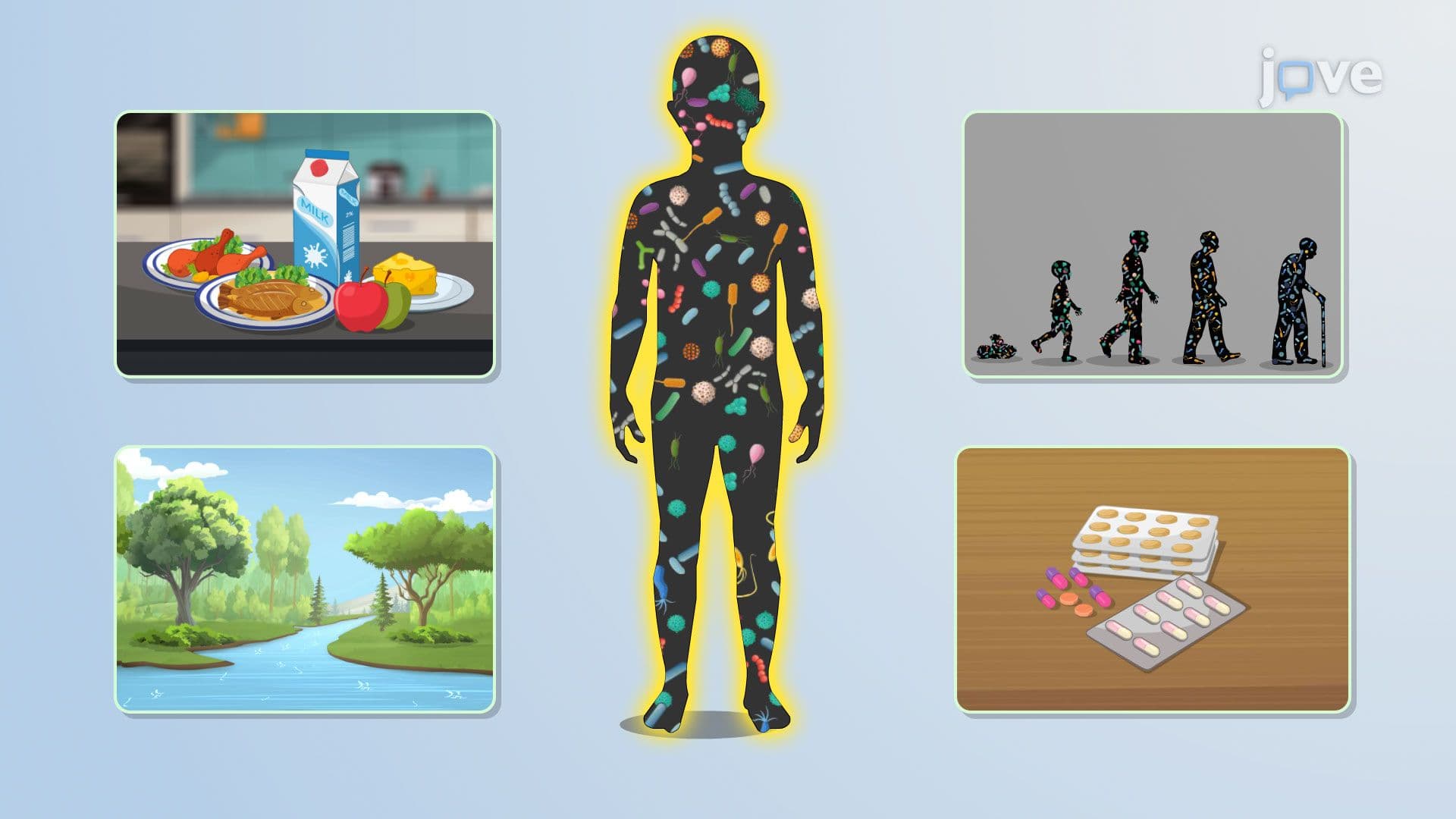 Introduction to the Human Microbiota